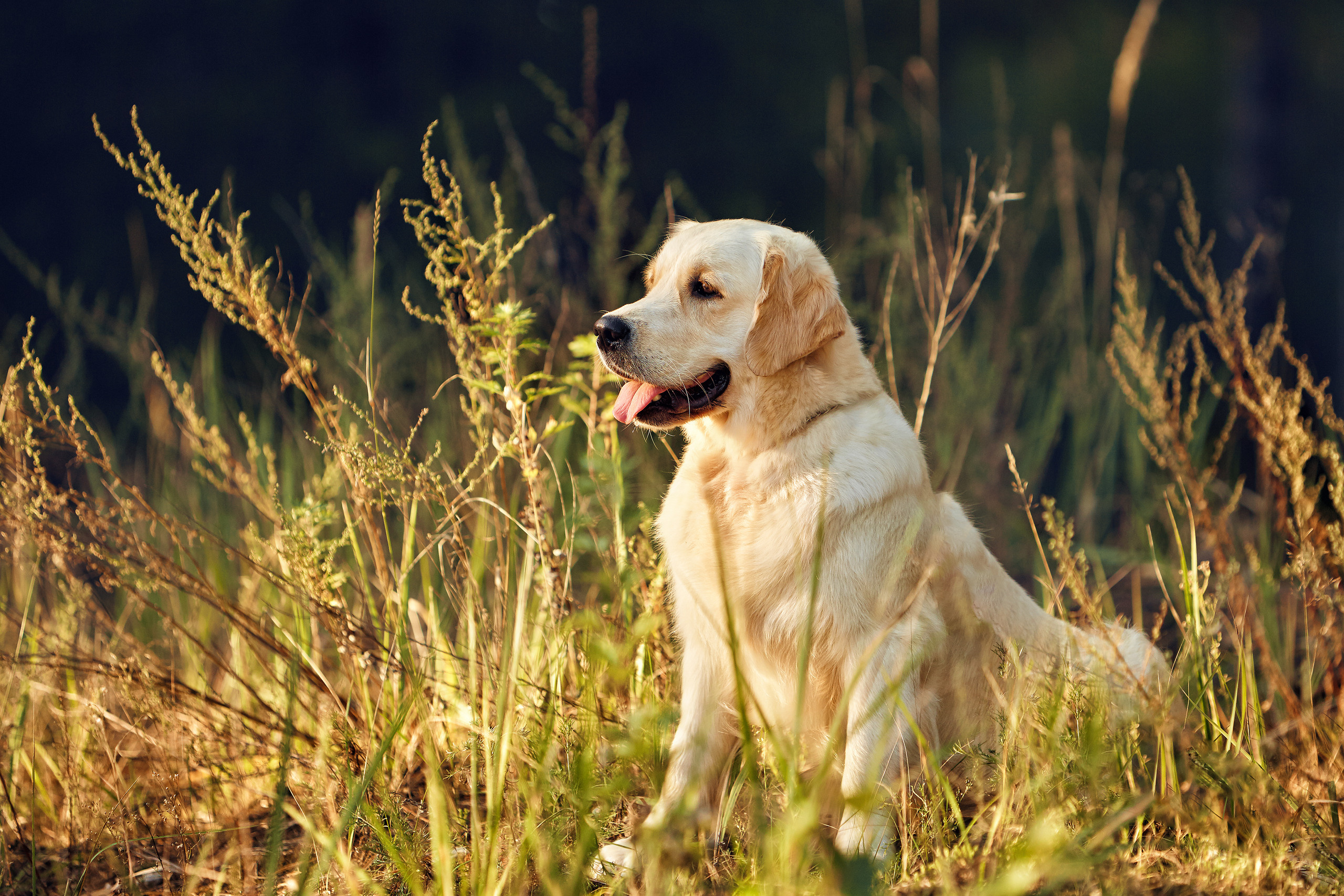 Съемка ребенка на Щелковском хуторе в Нижнем Новгороде. Детский и семейный фотограф в Нижнем Новгороде Мячикова Наталья