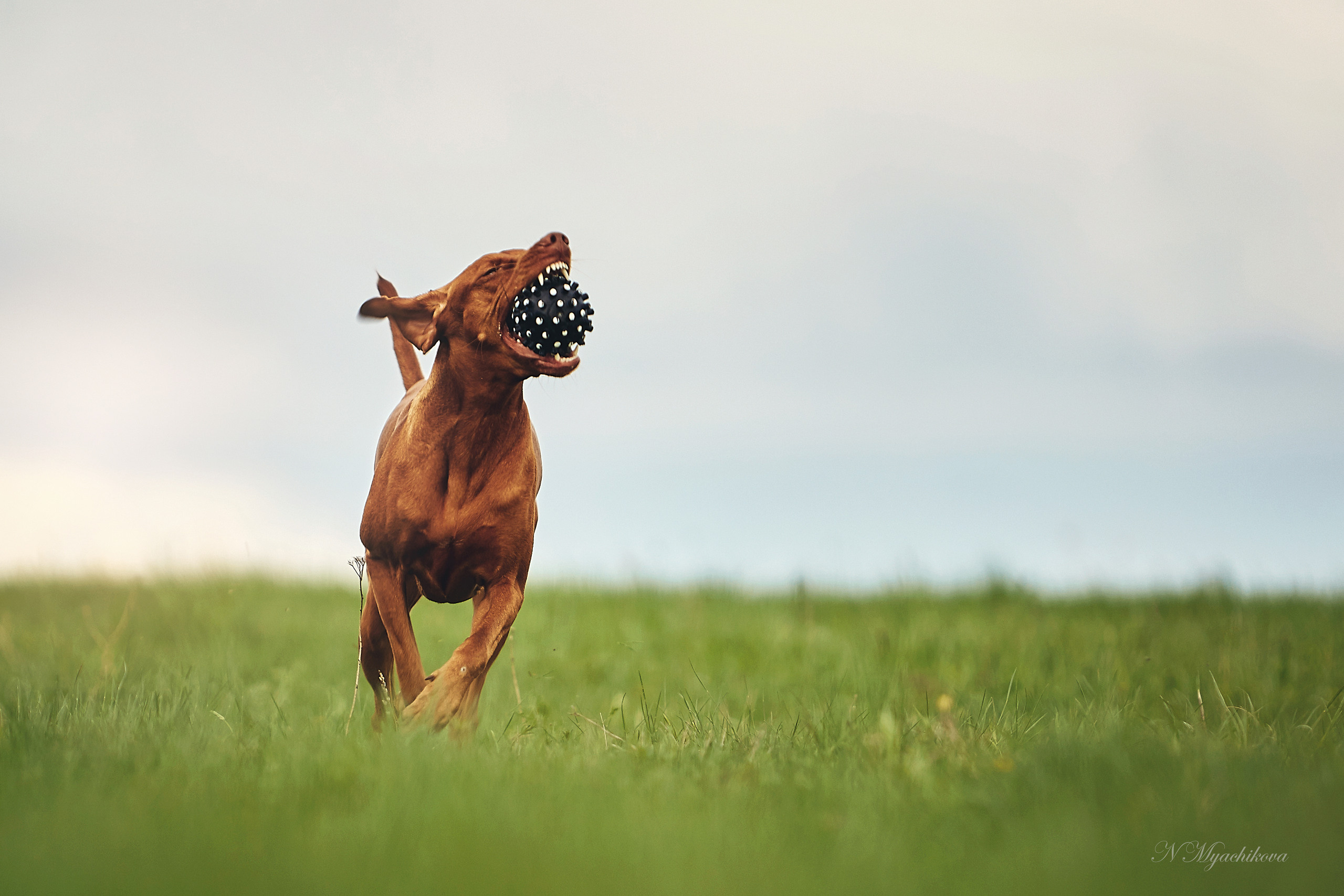 Съемка ребенка на Щелковском хуторе в Нижнем Новгороде. Детский и семейный фотограф в Нижнем Новгороде Мячикова Наталья
