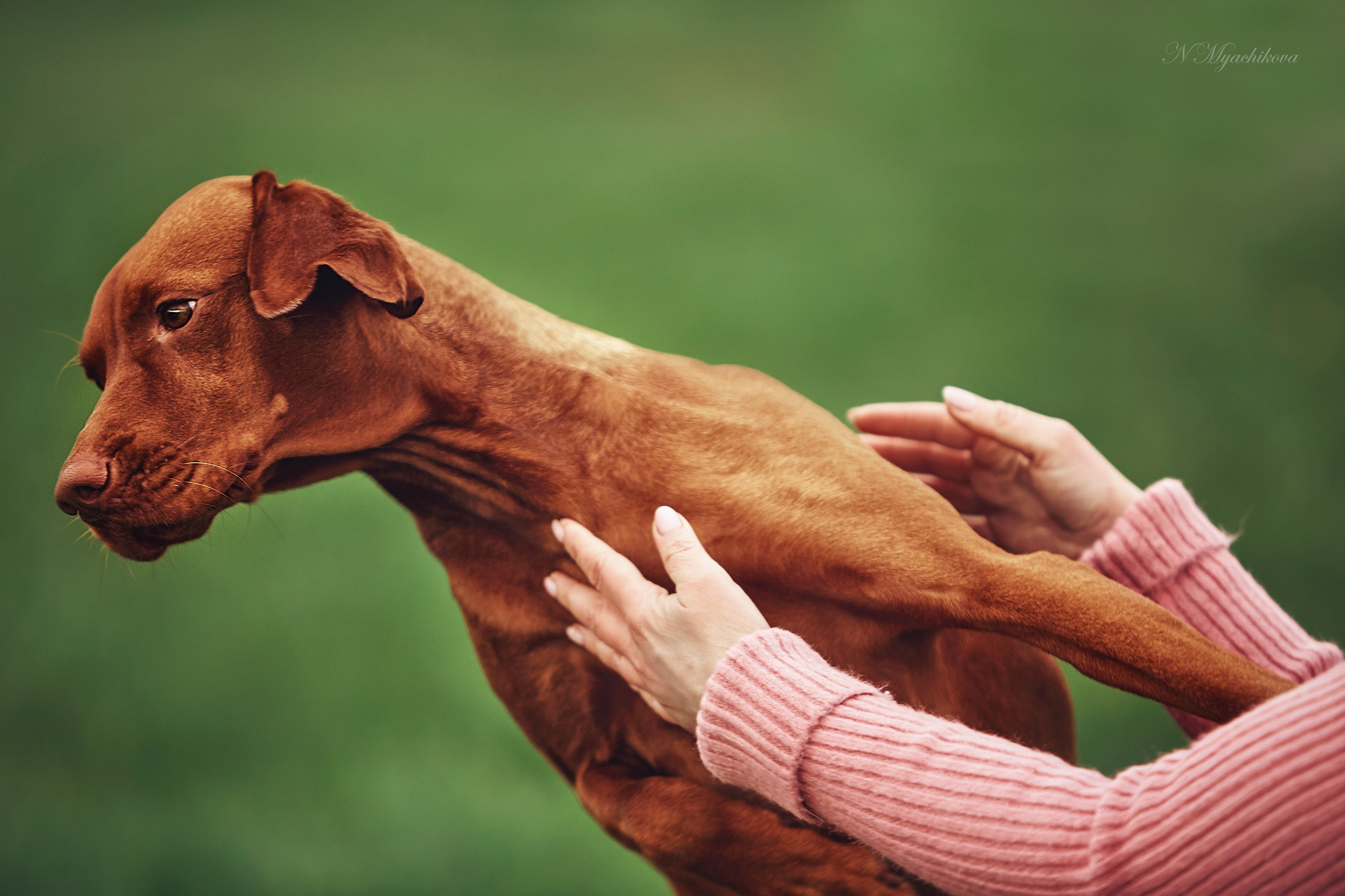 Съемка ребенка на Щелковском хуторе в Нижнем Новгороде. Детский и семейный фотограф в Нижнем Новгороде Мячикова Наталья