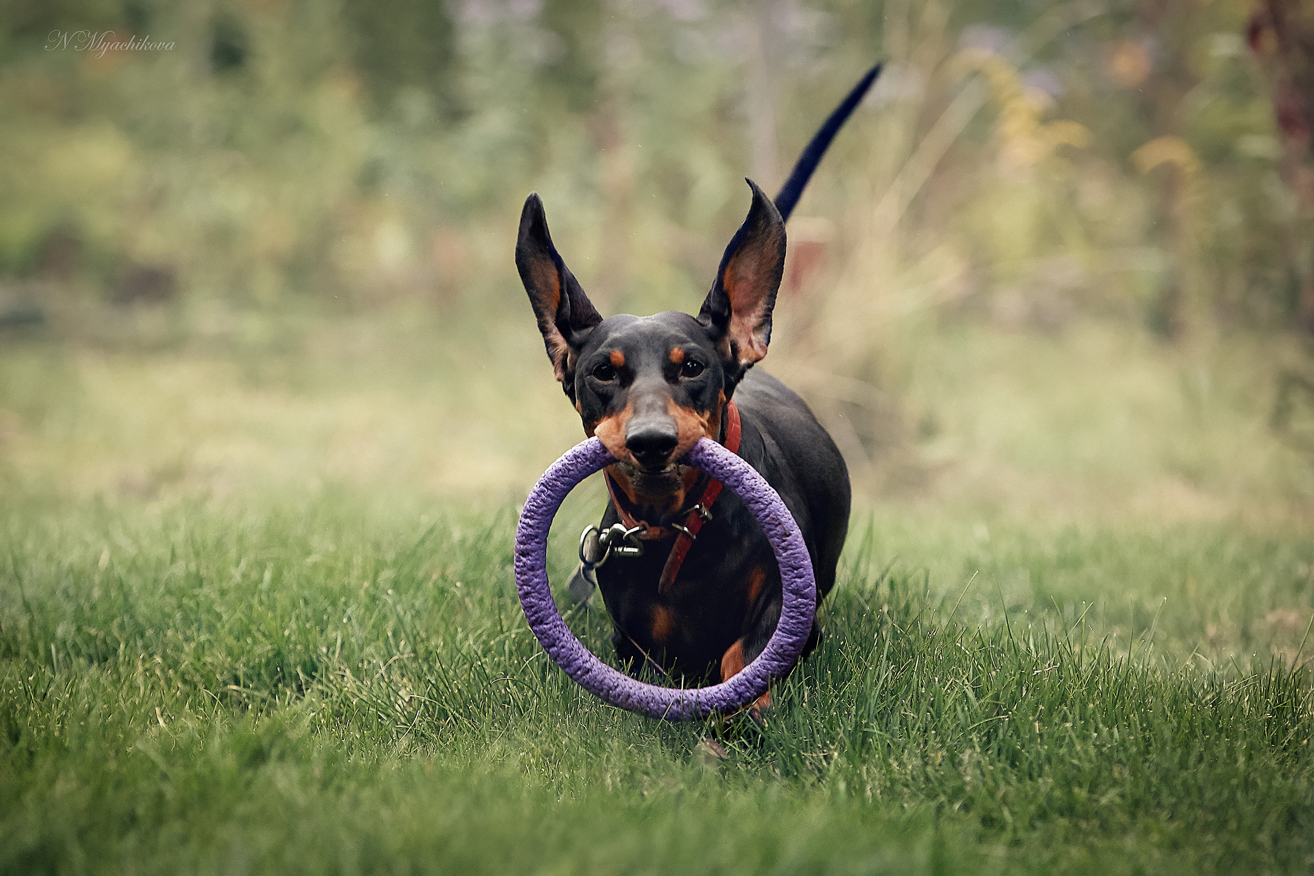 Съемка ребенка на Щелковском хуторе в Нижнем Новгороде. Детский и семейный фотограф в Нижнем Новгороде Мячикова Наталья