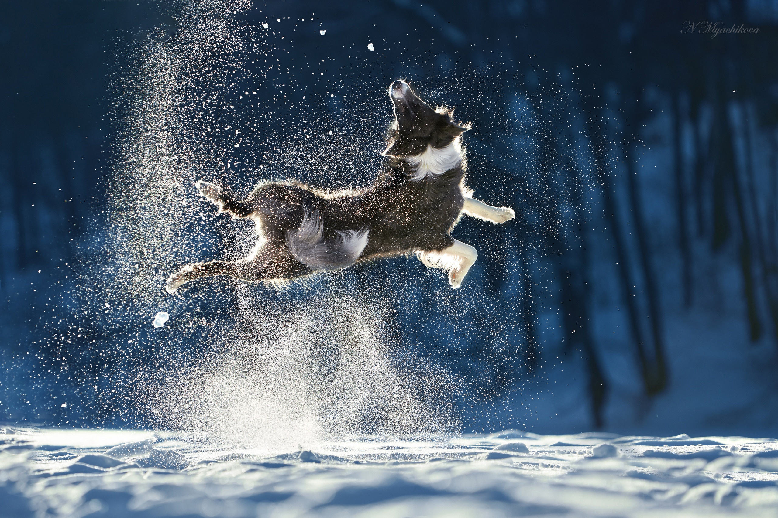 Съемка ребенка на Щелковском хуторе в Нижнем Новгороде. Детский и семейный фотограф в Нижнем Новгороде Мячикова Наталья