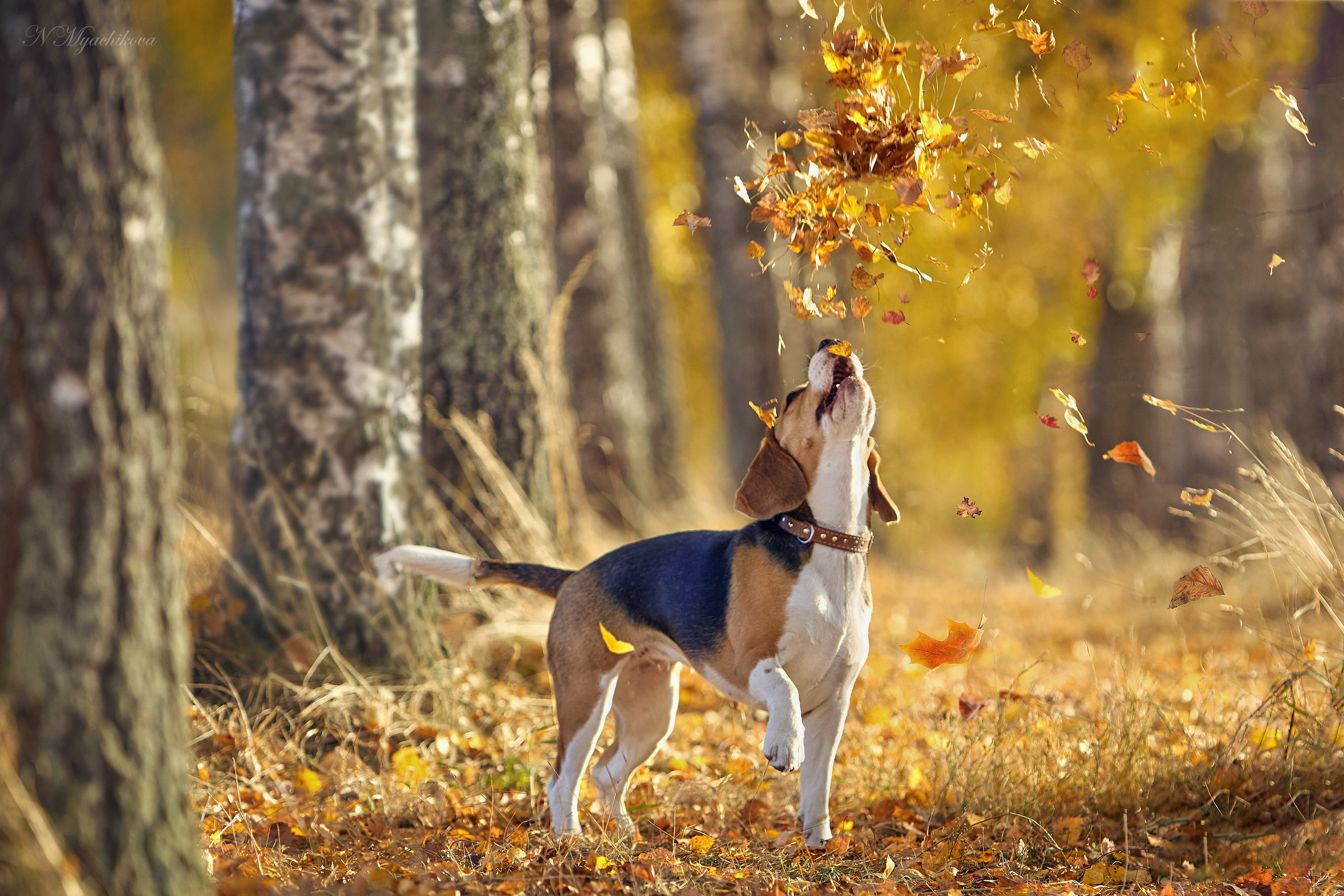 Съемка ребенка на Щелковском хуторе в Нижнем Новгороде. Детский и семейный фотограф в Нижнем Новгороде Мячикова Наталья