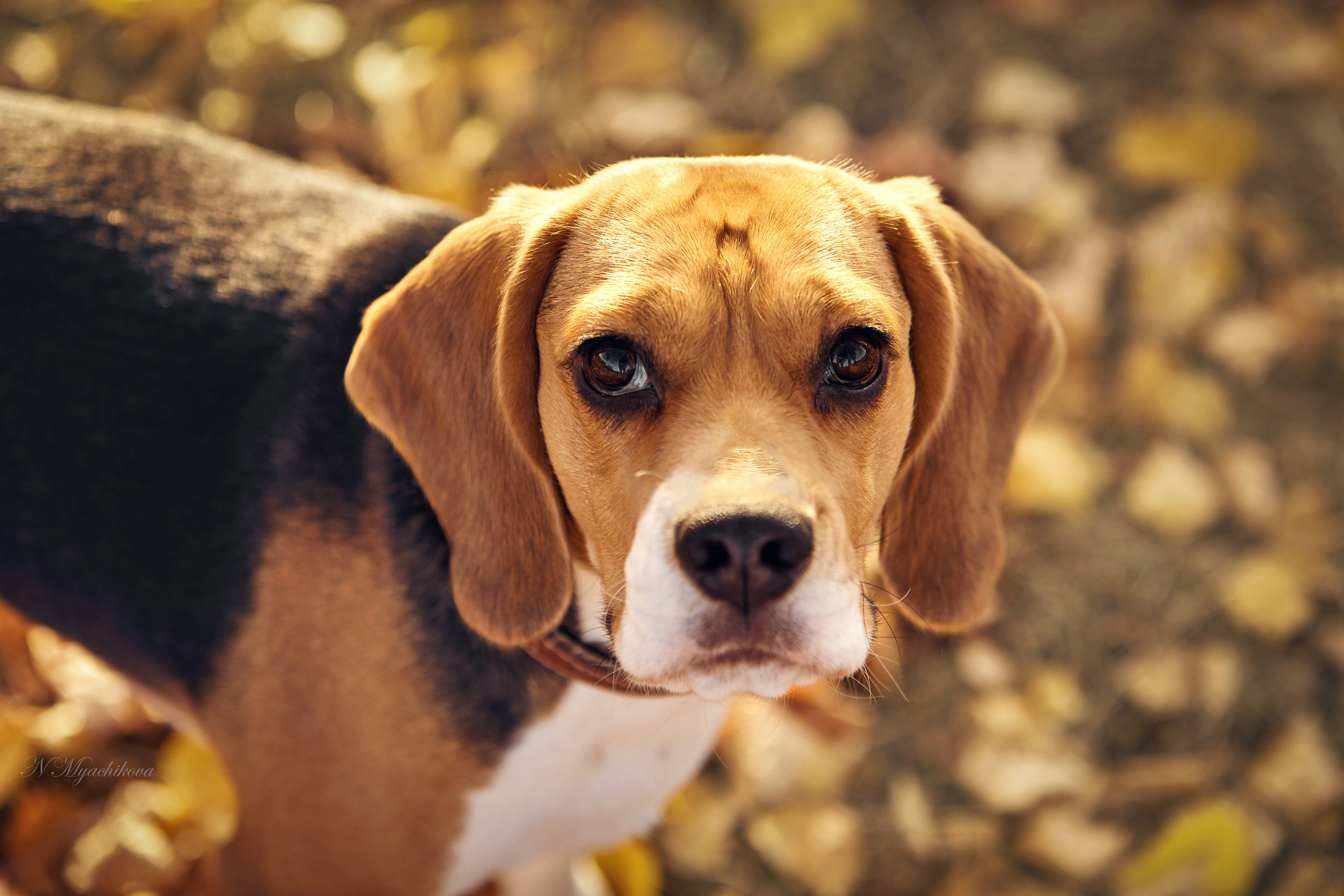 Съемка ребенка на Щелковском хуторе в Нижнем Новгороде. Детский и семейный фотограф в Нижнем Новгороде Мячикова Наталья