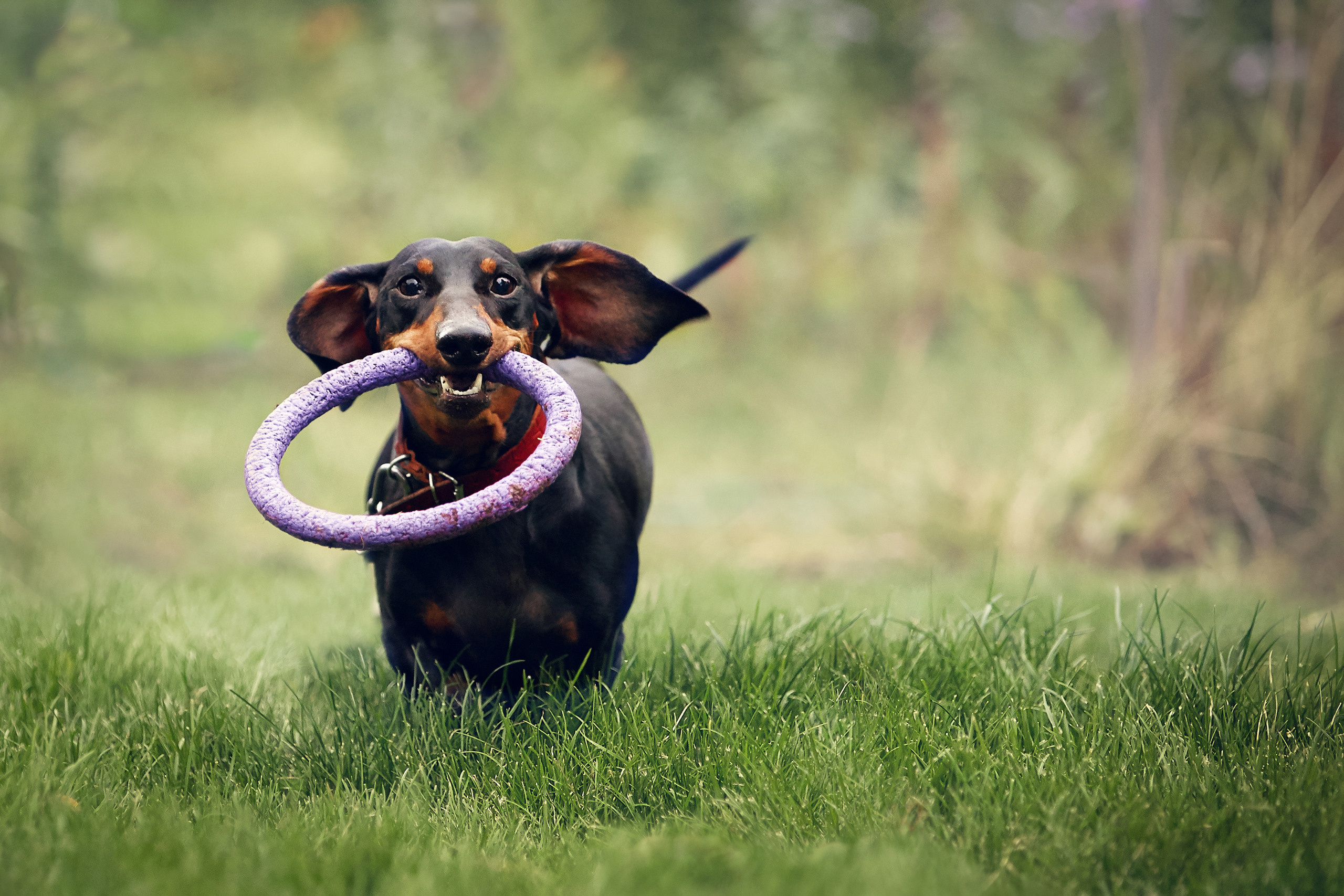 Съемка ребенка на Щелковском хуторе в Нижнем Новгороде. Детский и семейный фотограф в Нижнем Новгороде Мячикова Наталья