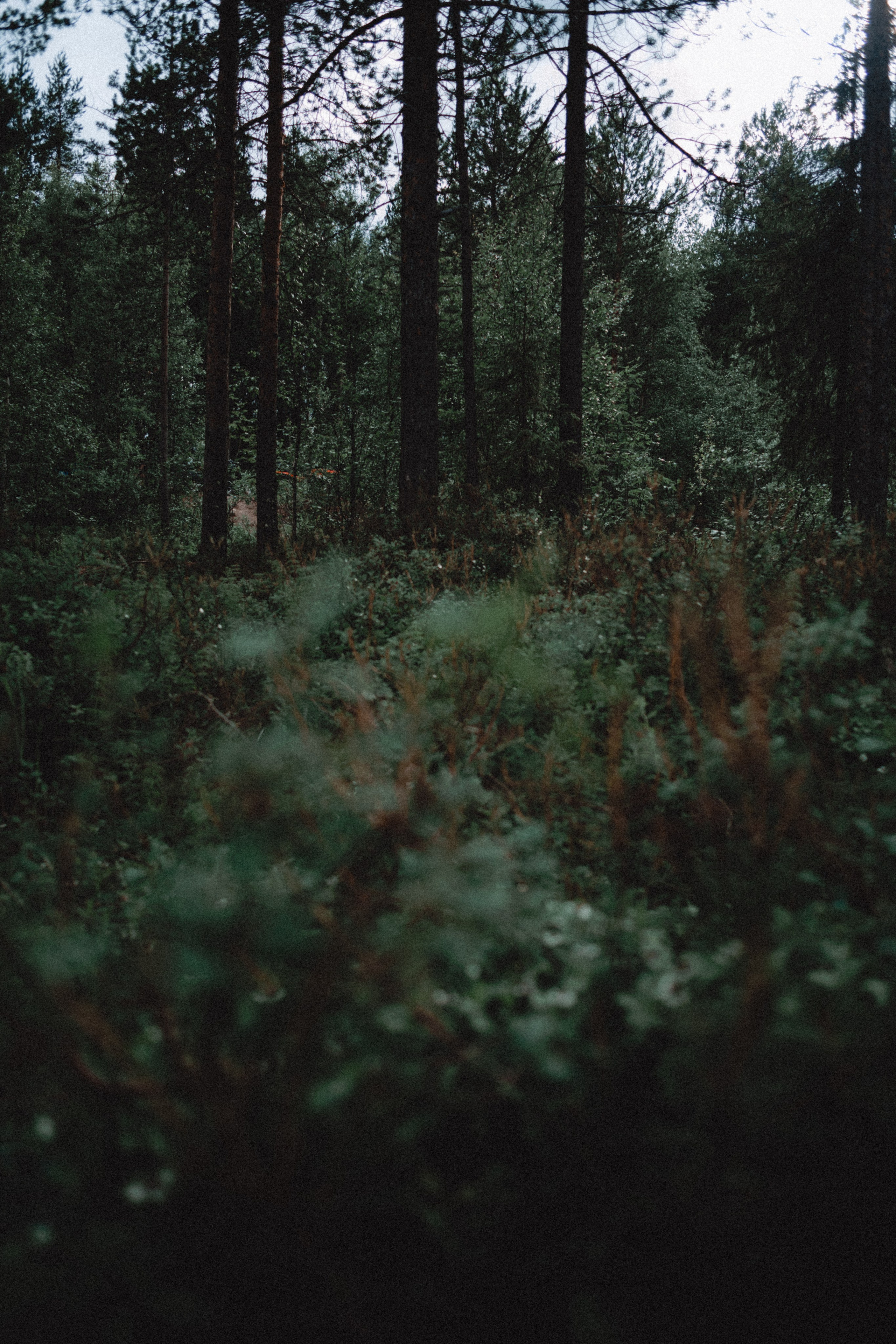 Териберка, Мурманск. Фотосъёмка для компании по организации туров в коллаборации с Яндекс 360