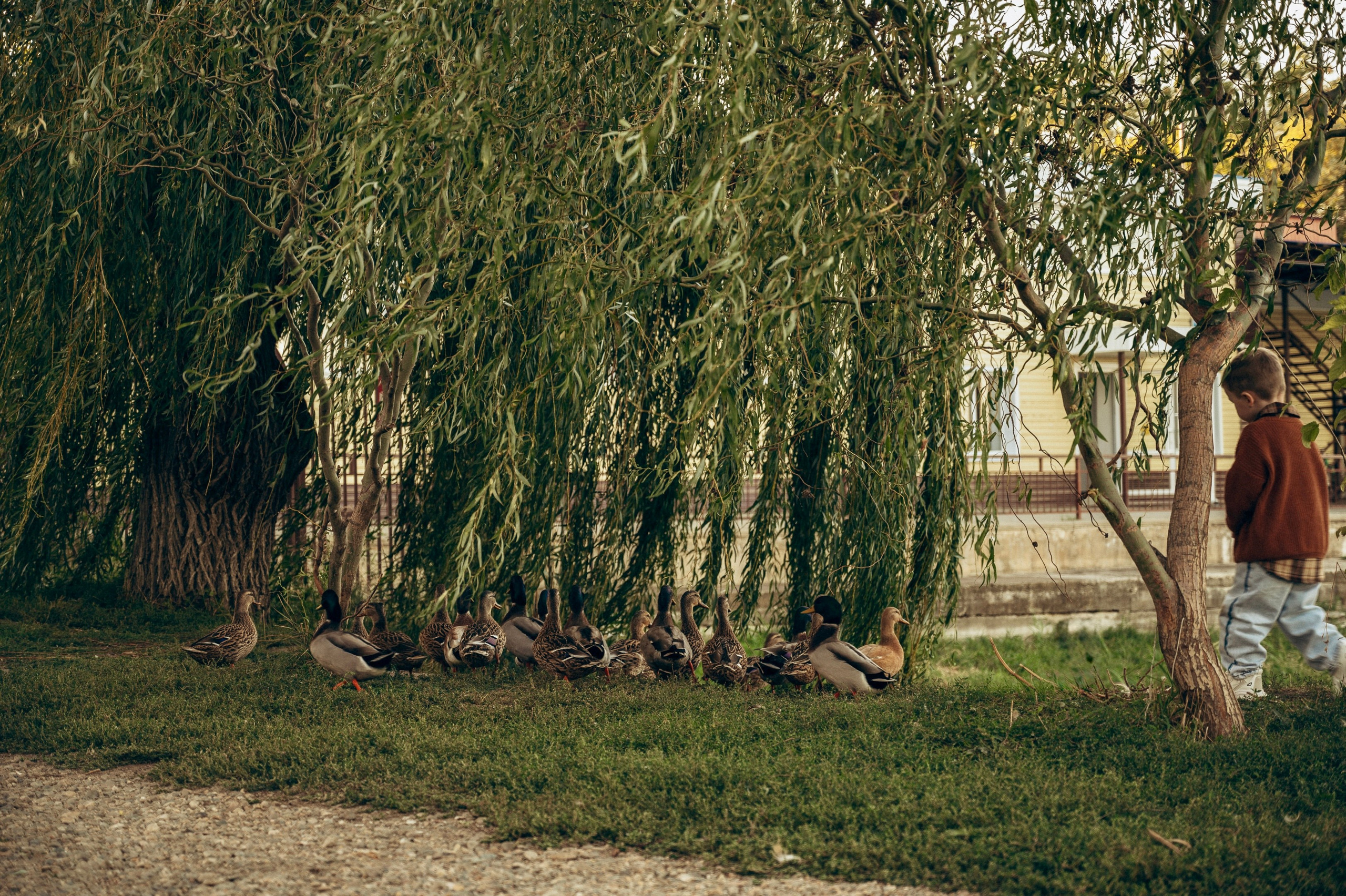 Семья| Сентябрь 2025. Свадебный и семейный фотограф Брюховецкая Тимашевск Краснодар