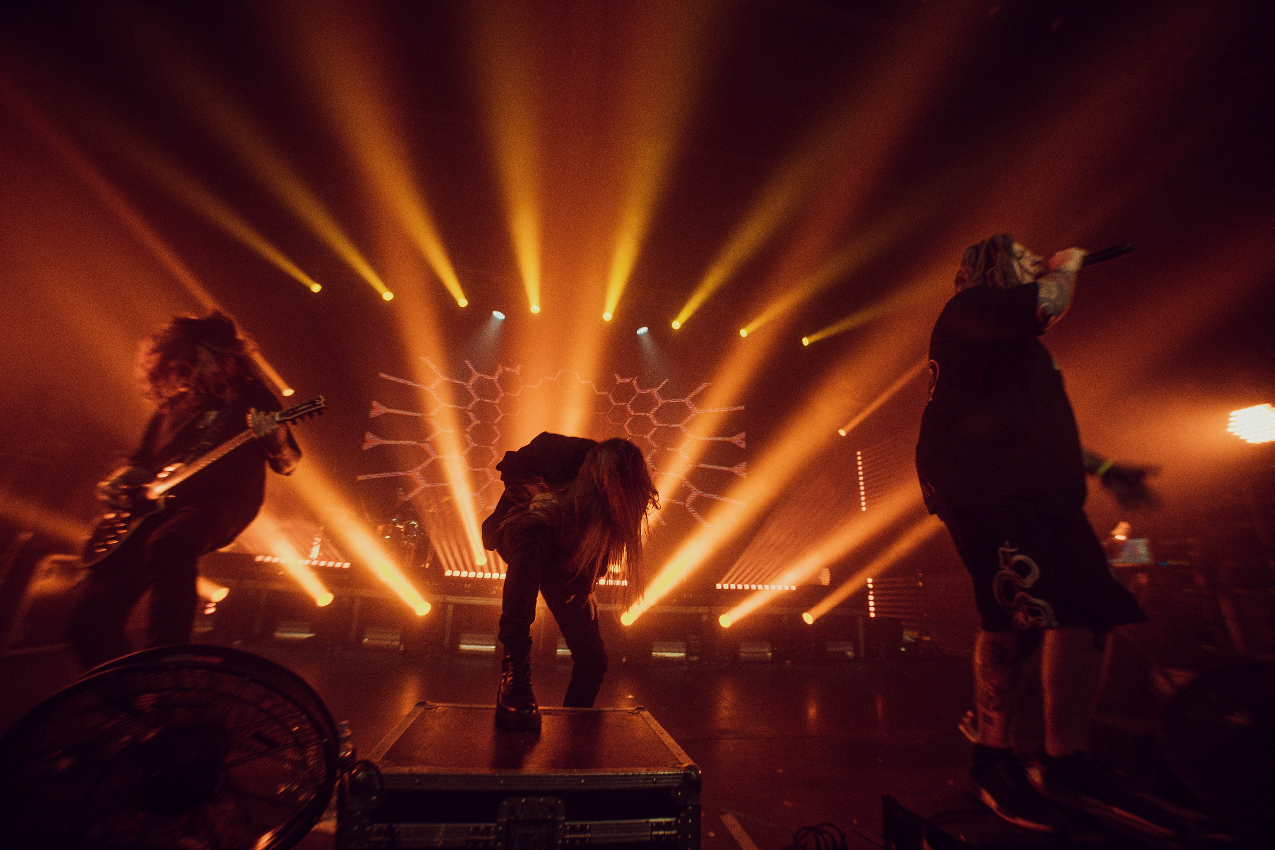 Amatory 3.01.2024. Фотограф Дядя Сник