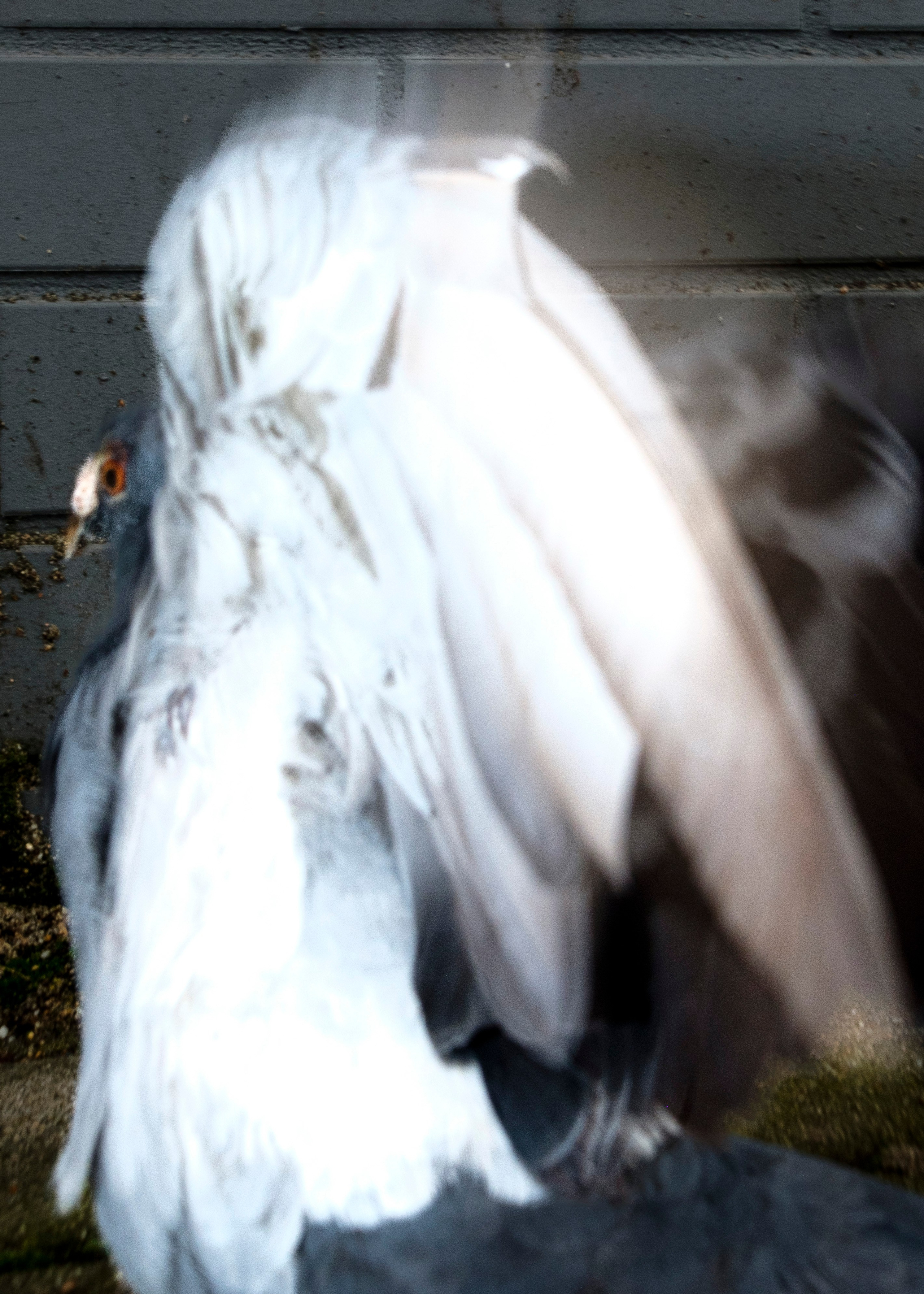 Simple. Photos. Photographer, Documentary and Art