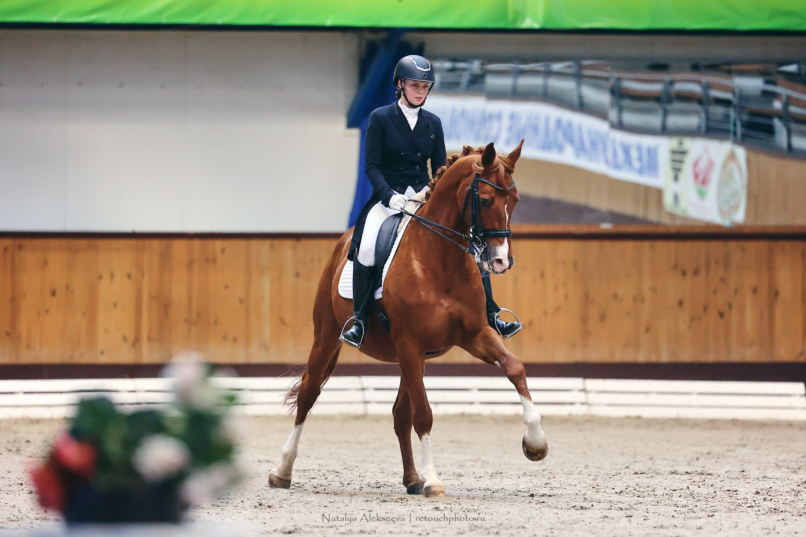 Этап Кубка Евразии по выездке, Минск | 04'2023. Репортажный фотограф и ретушер в Москве Наталья Алексеева