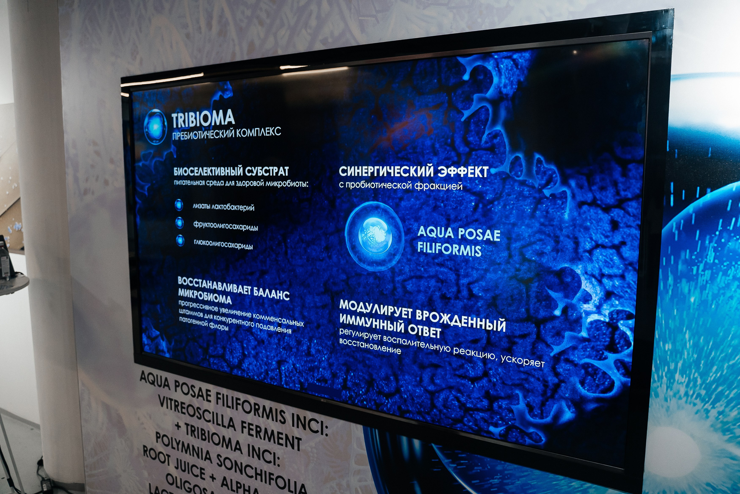 La Roche Posay. Павел Краснов — Свадебный и репортажный фотограф в Москве