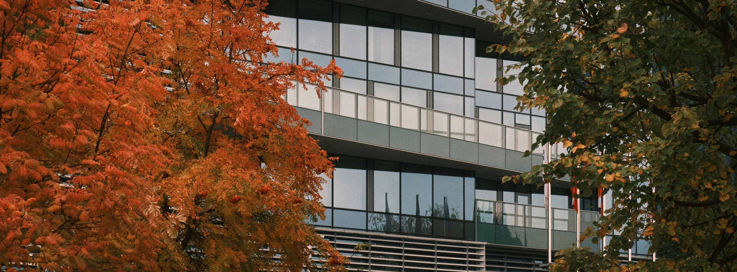 Уличная фотография из Казани. Фотограф-любитель из Кирова Андрей Погребняк