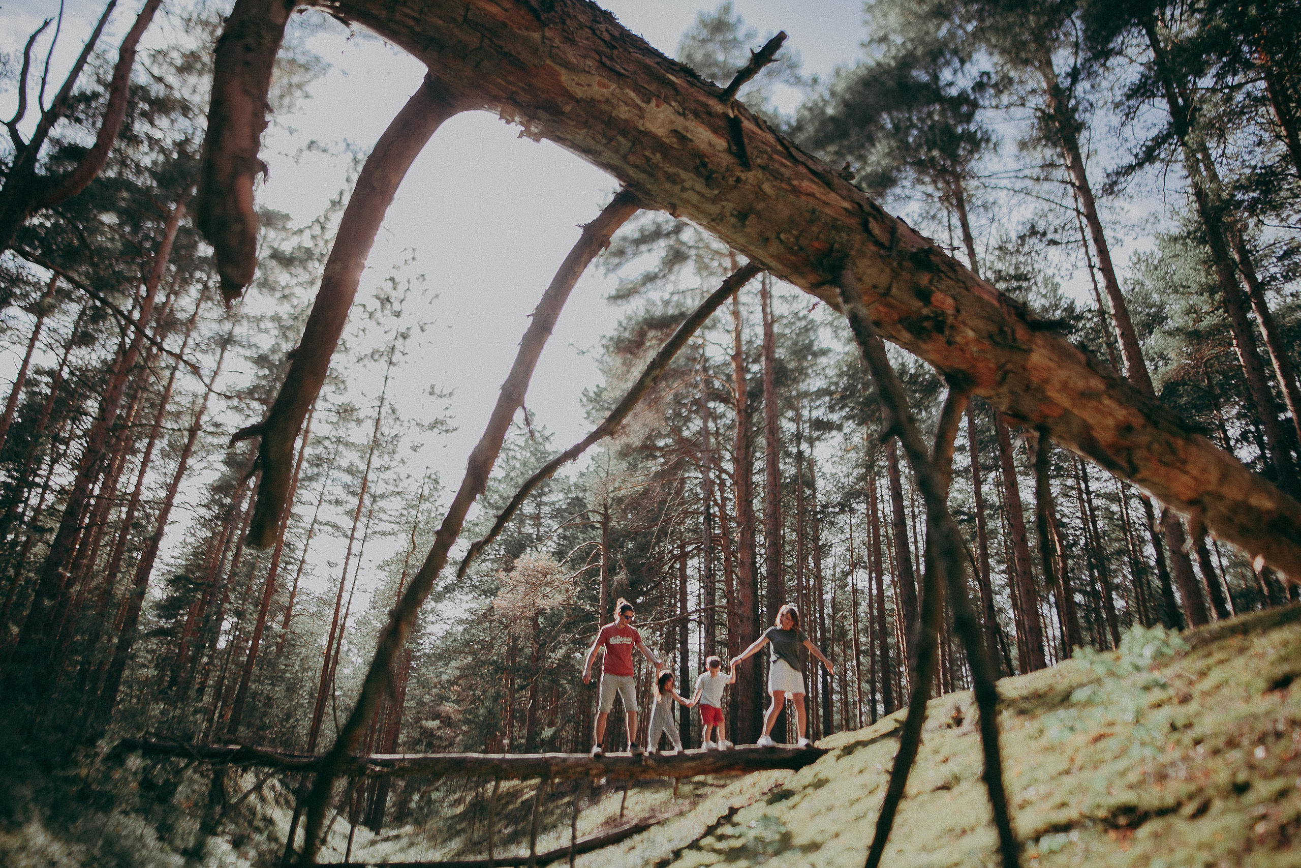 Племя Михайловых. Wedding photographers Tbilisi Georgia Alex and Polly