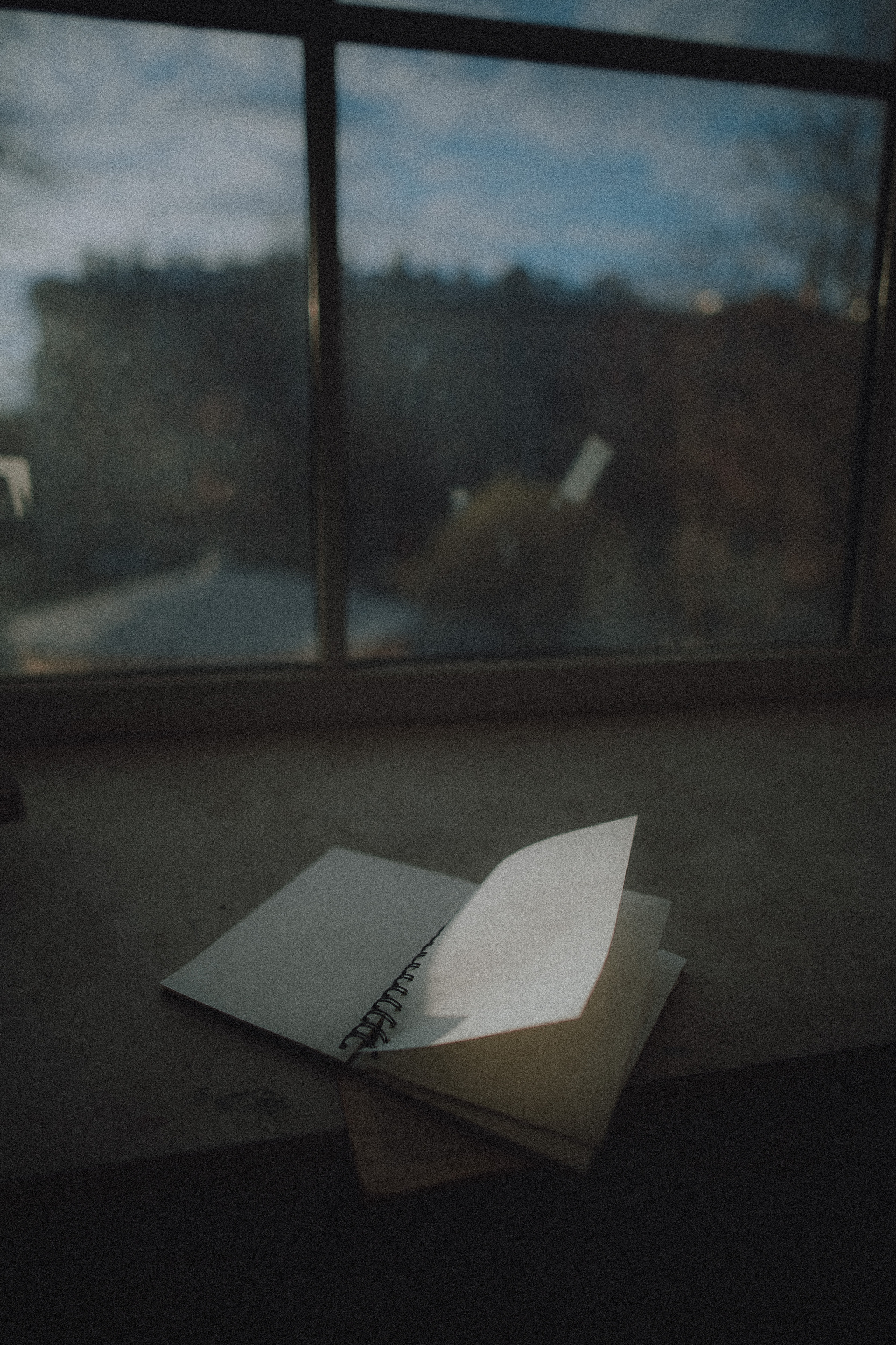 Денис и Катя. Свадебный фотограф Грузия Alex and Polly