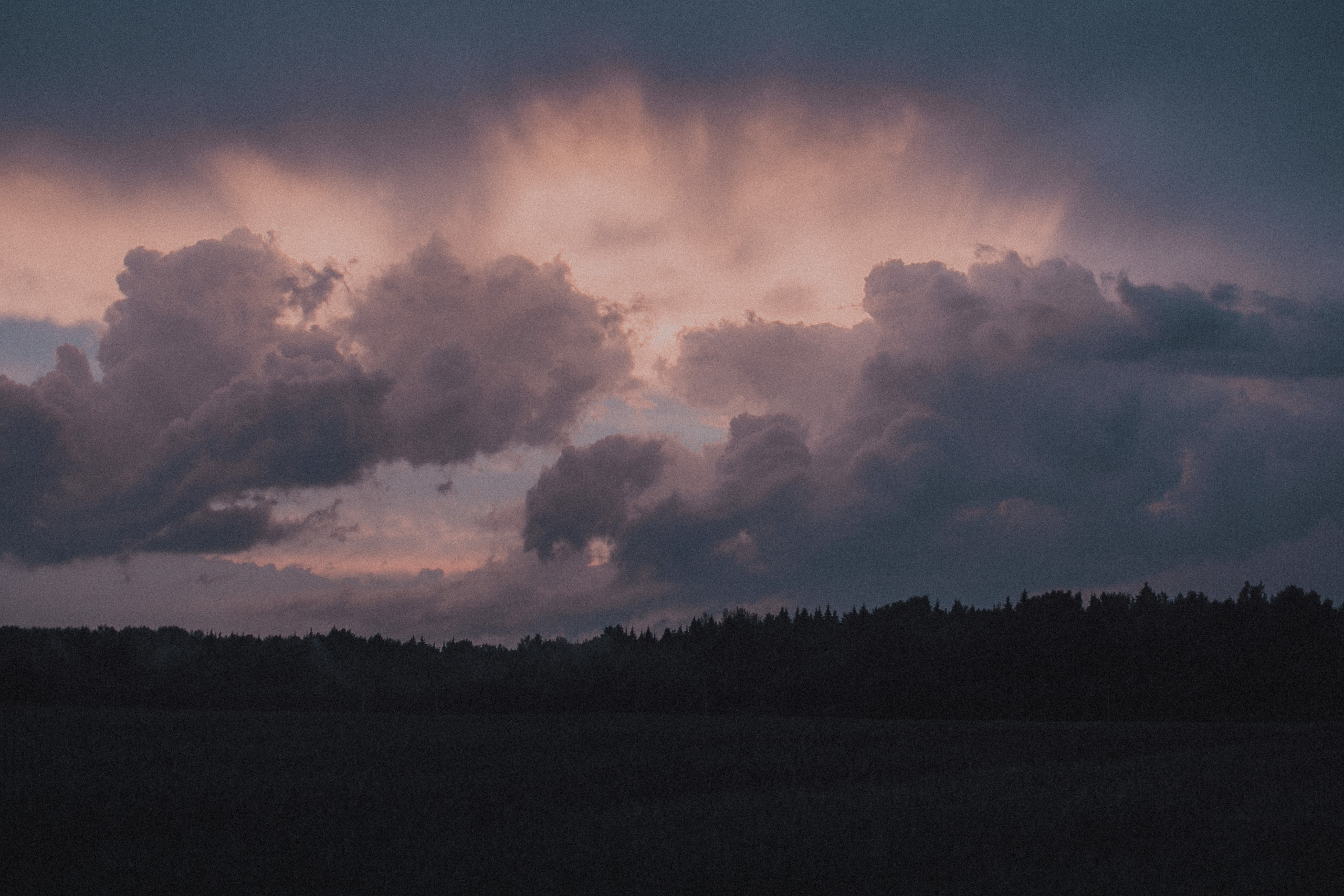 Настя. Свадебный фотограф Грузия Alex and Polly