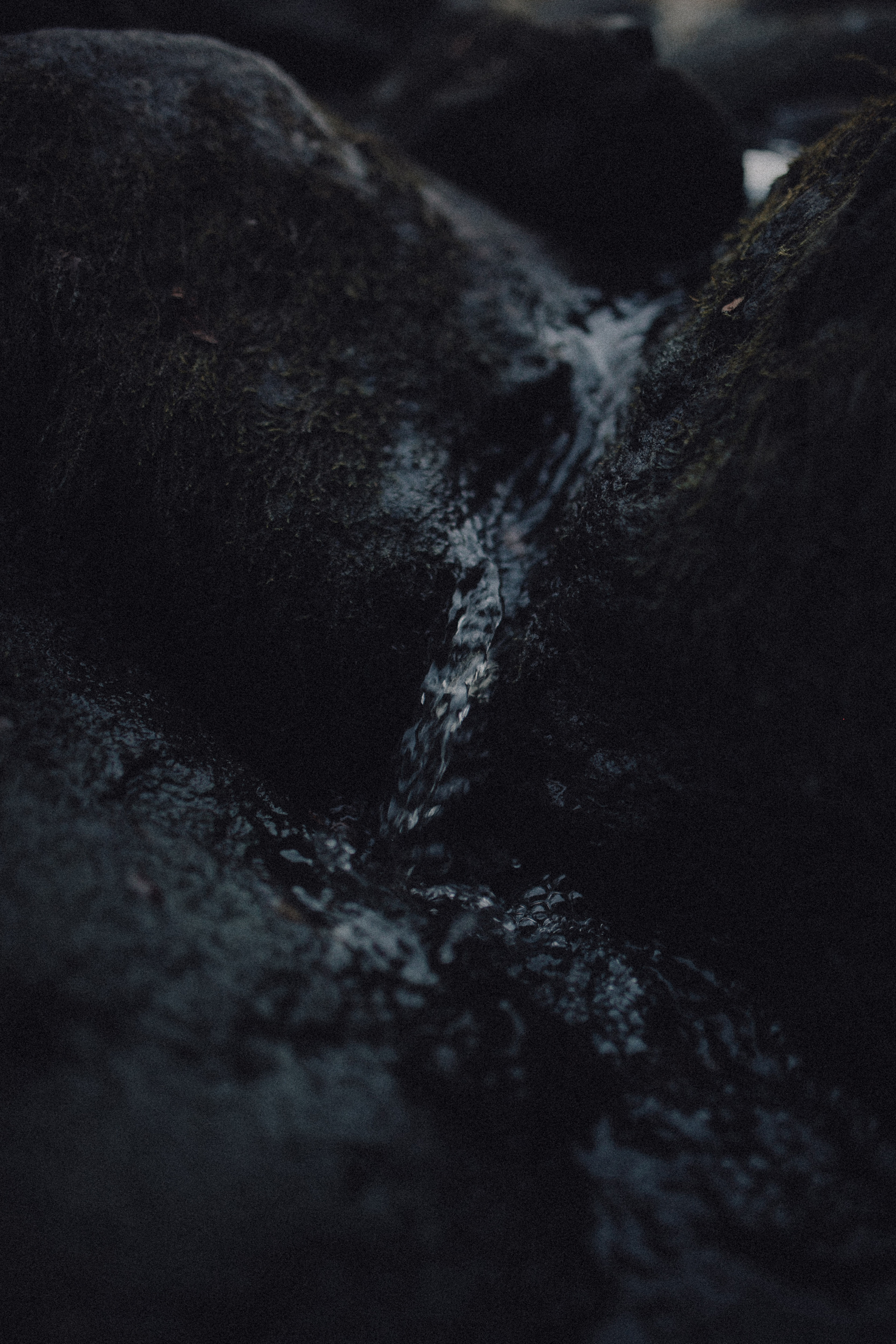 Ксюша. Wedding photographers Tbilisi Georgia Alex and Polly