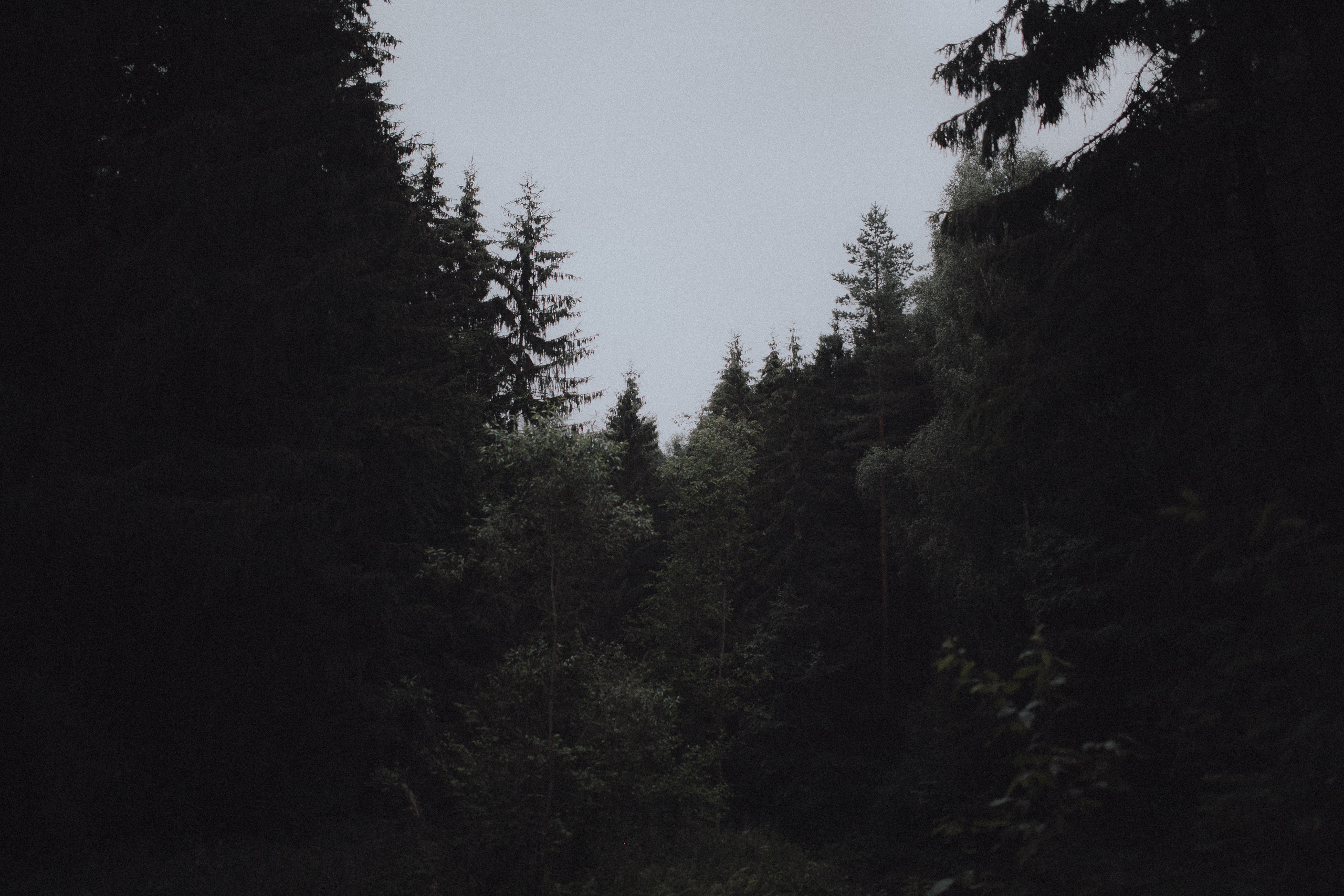 Настя. Свадебный фотограф Грузия Alex and Polly