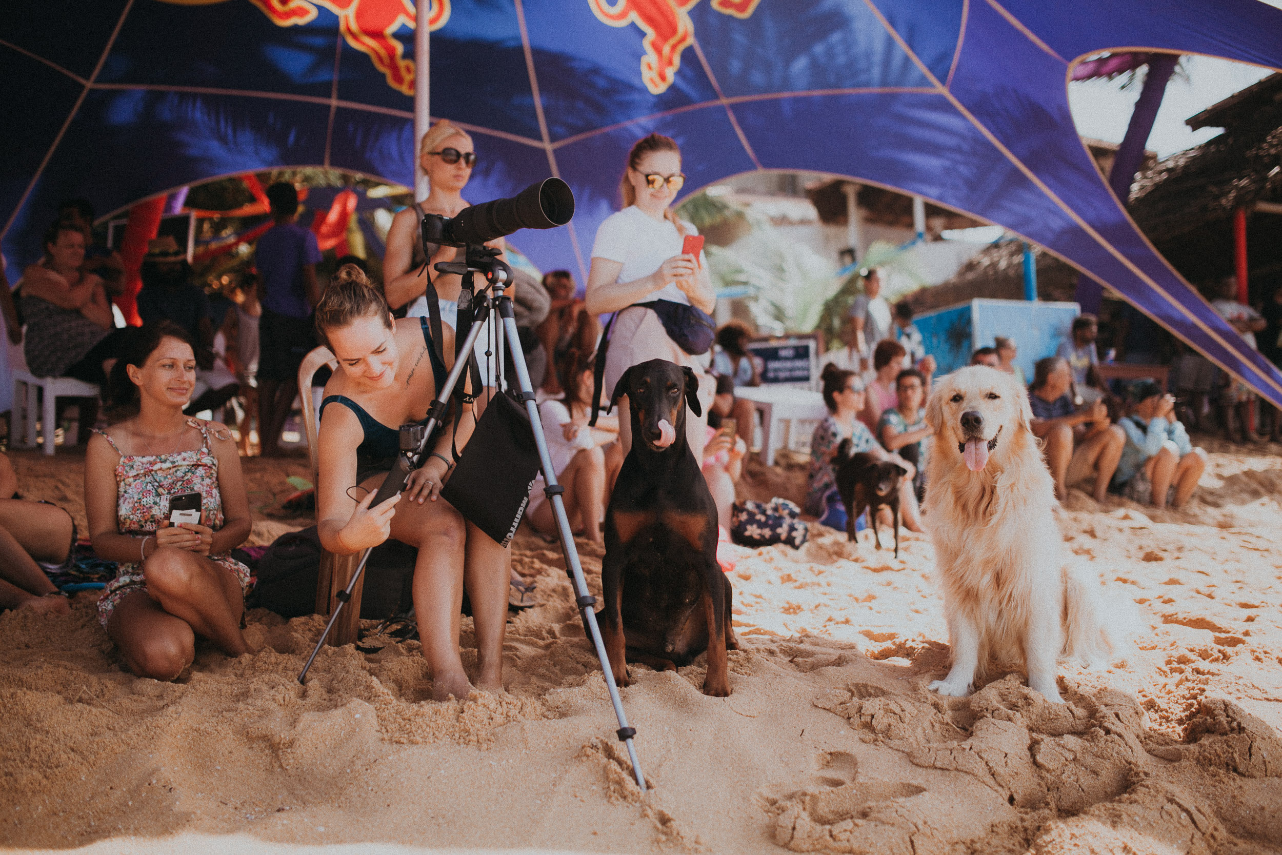Red Bull Ride my wave. Wedding photographers Tbilisi Georgia Alex and Polly