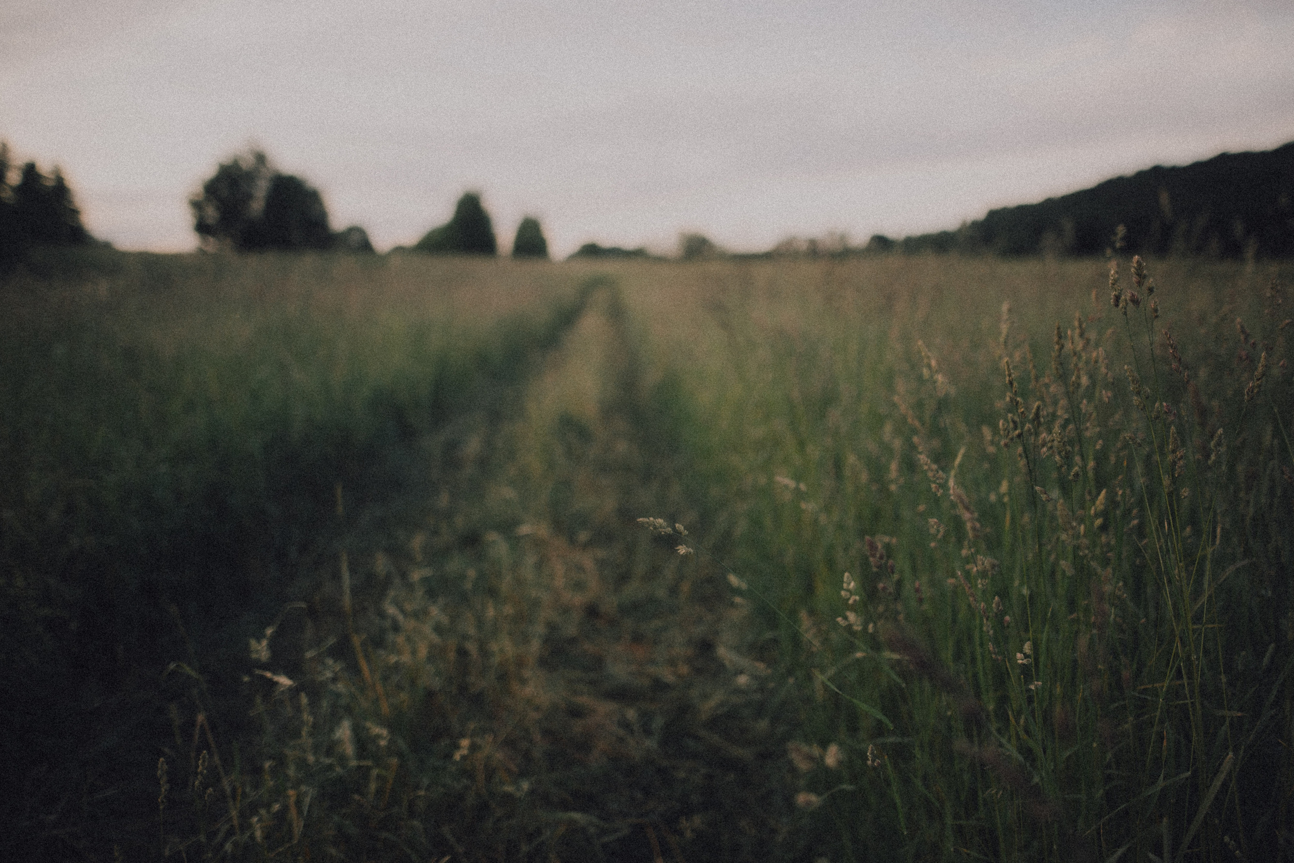 Ксюша. Wedding photographers Tbilisi Georgia Alex and Polly