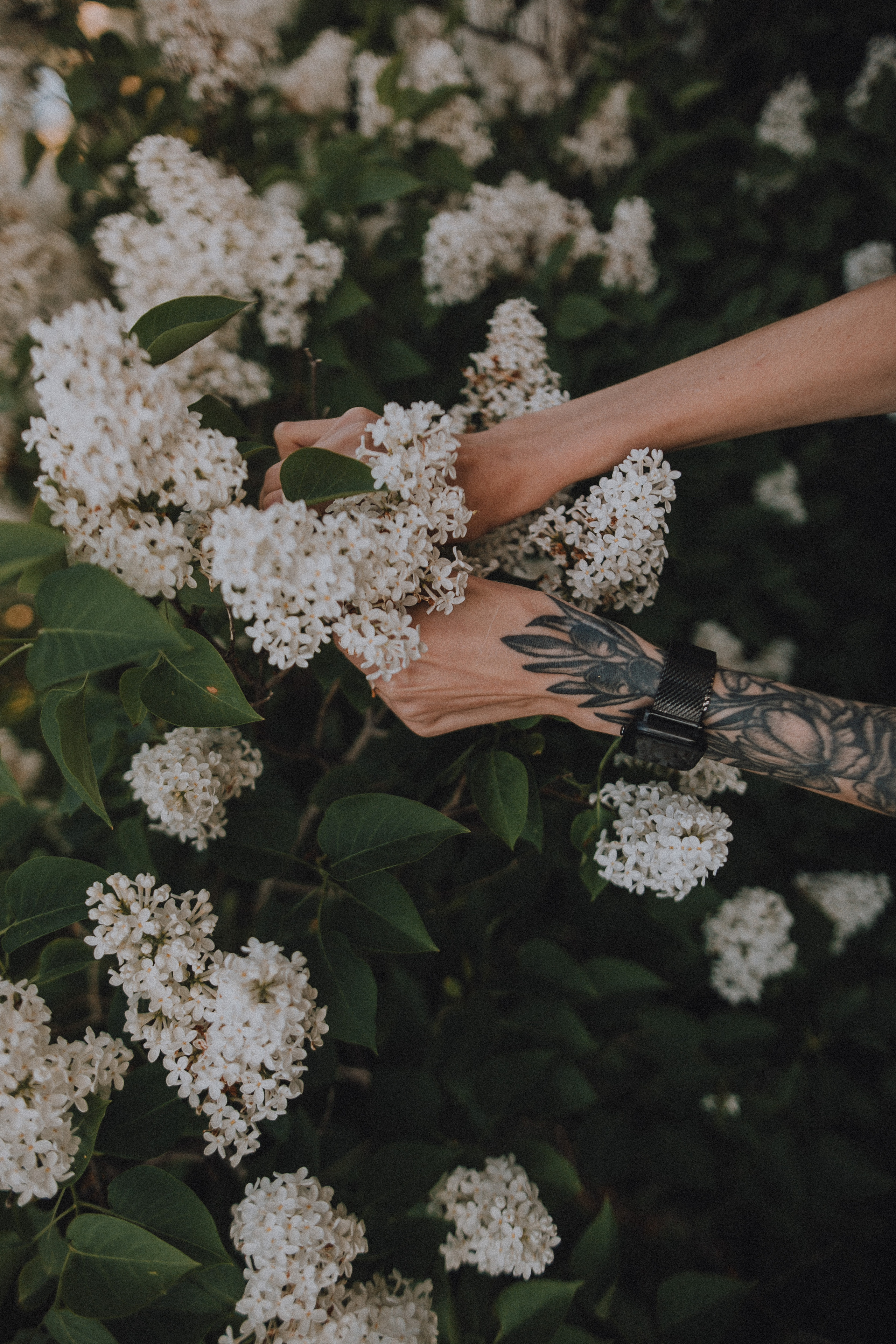 Надя и Леша. Wedding photographers Tbilisi Georgia Alex and Polly