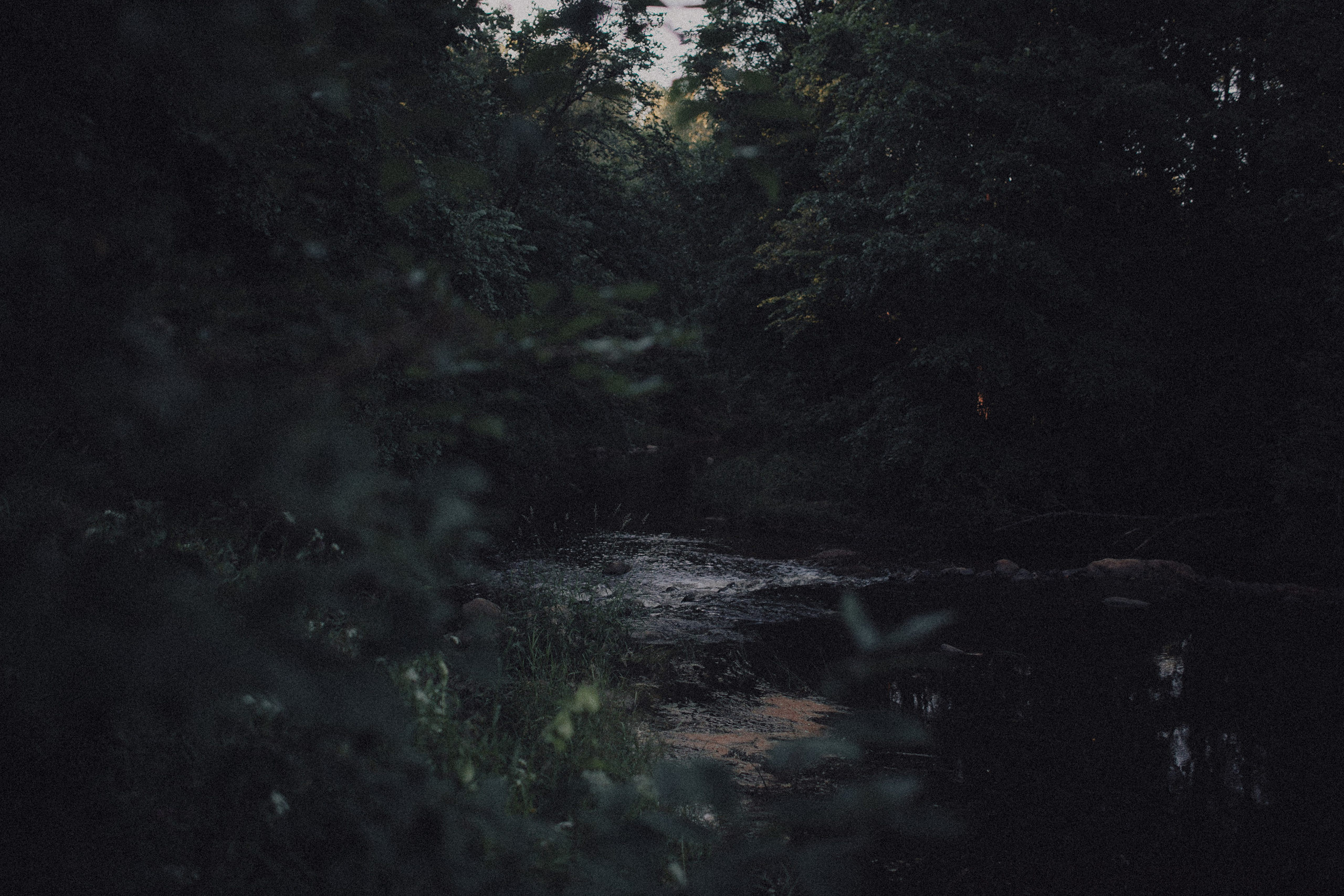 Ксюша. Wedding photographers Tbilisi Georgia Alex and Polly