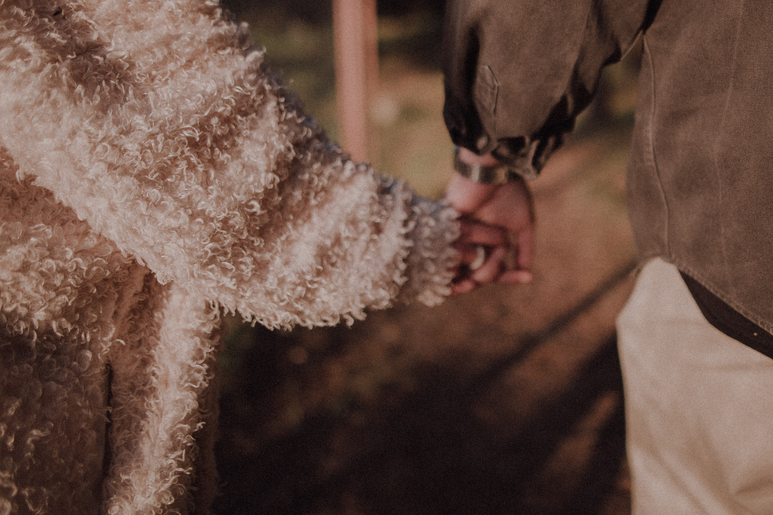 Тата и Денис. Свадебный фотограф Грузия Alex and Polly