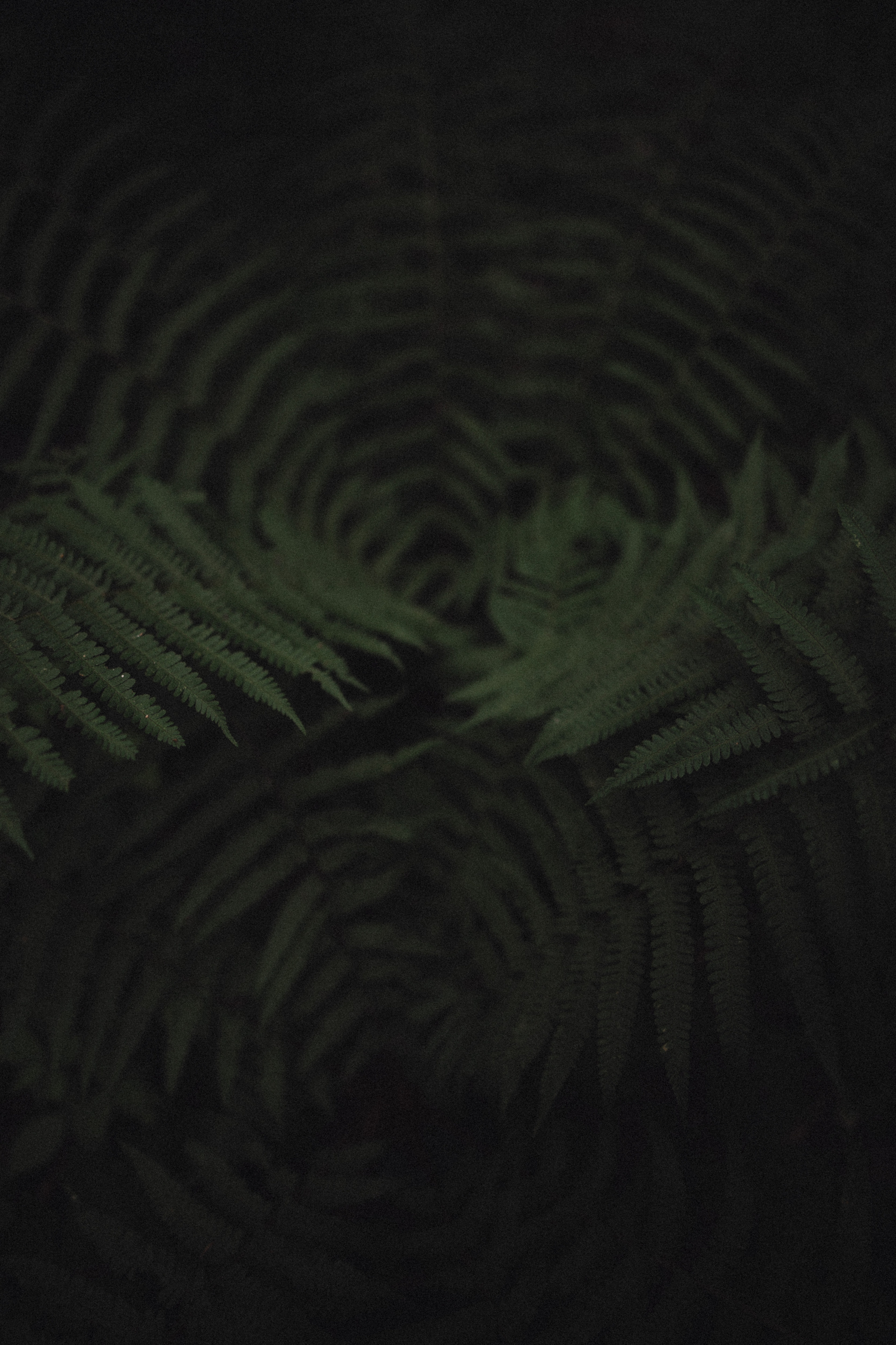 Настя. Свадебный фотограф Грузия Alex and Polly