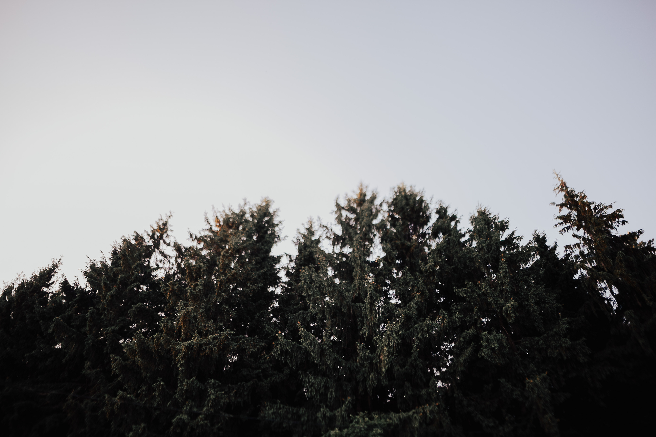 Виктория, Кирилл, Эмилия и Даниэль. Wedding photographers Tbilisi Georgia Alex and Polly