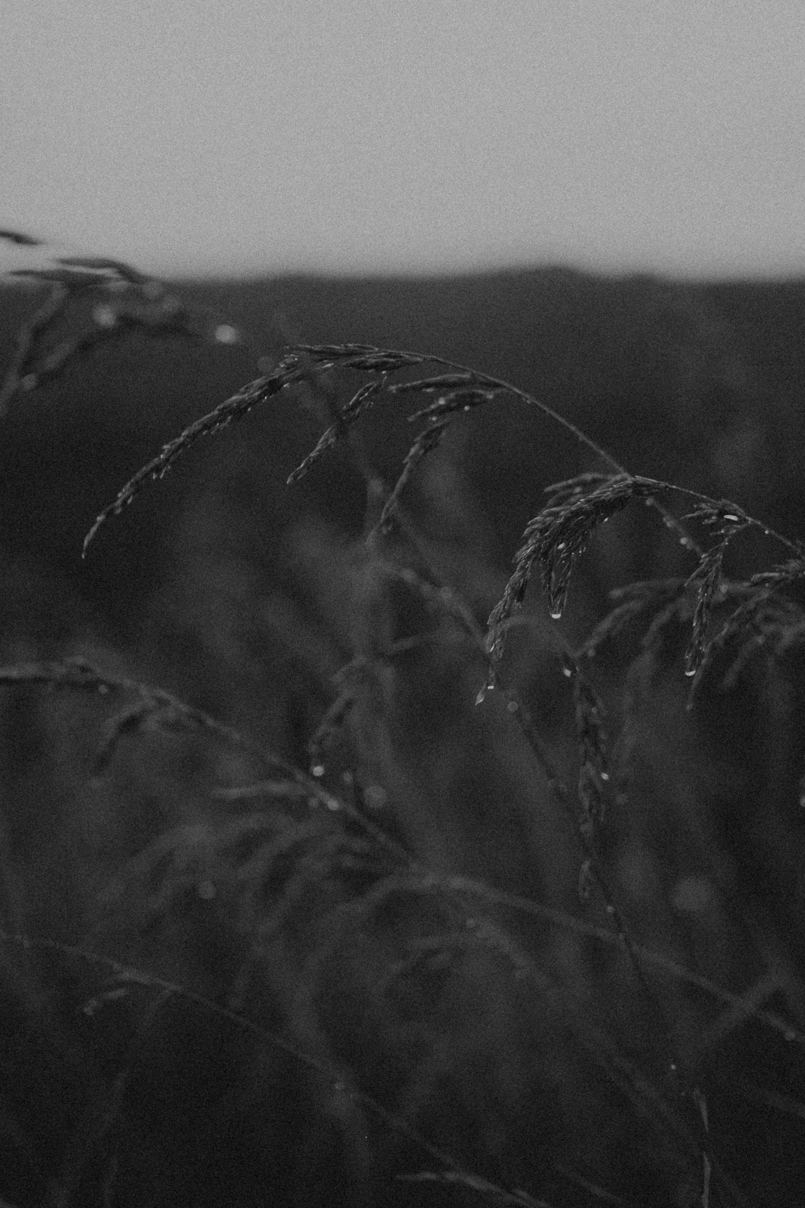 Настя. Свадебный фотограф Грузия Alex and Polly