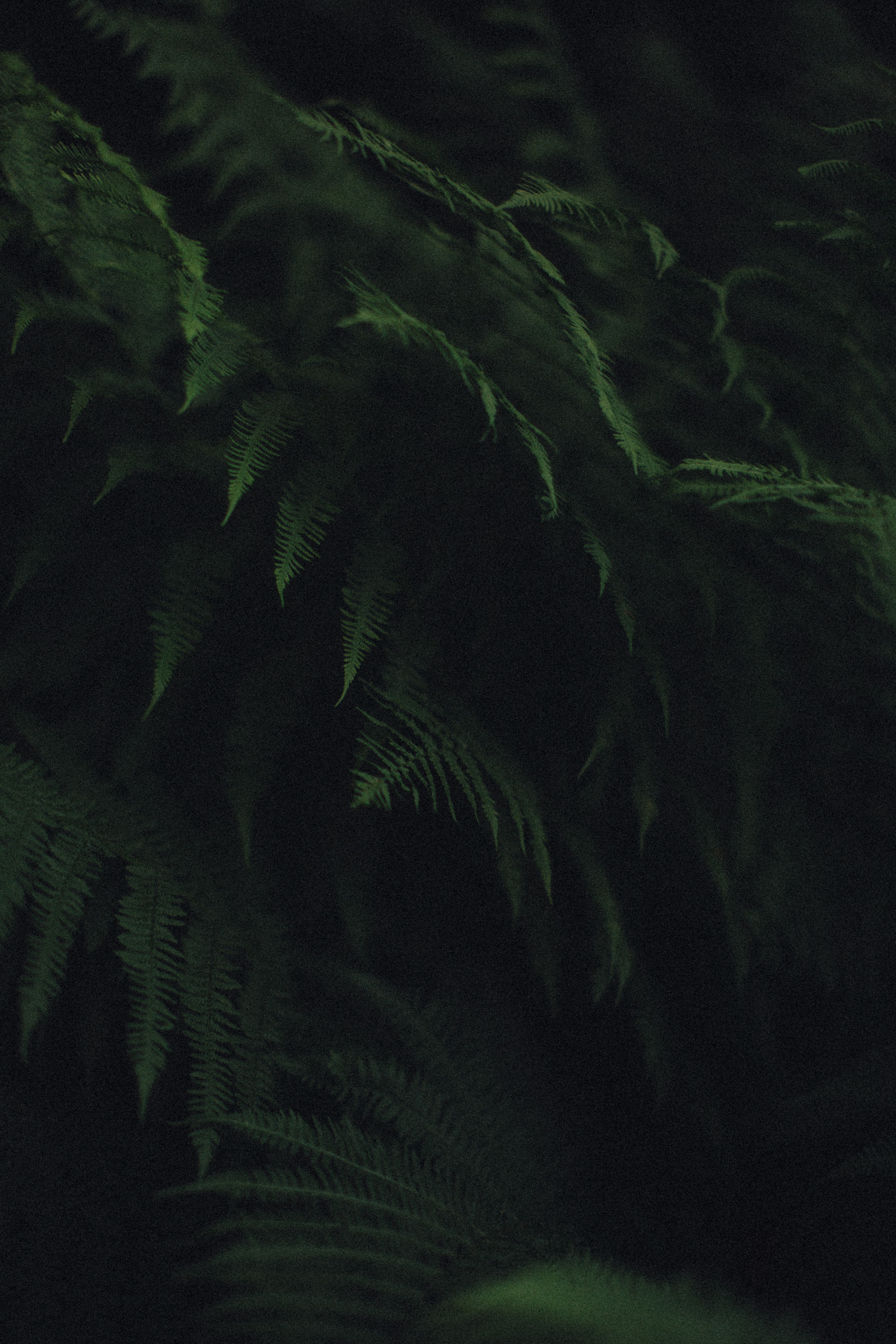 North love. Wedding photographers Tbilisi Georgia Alex and Polly