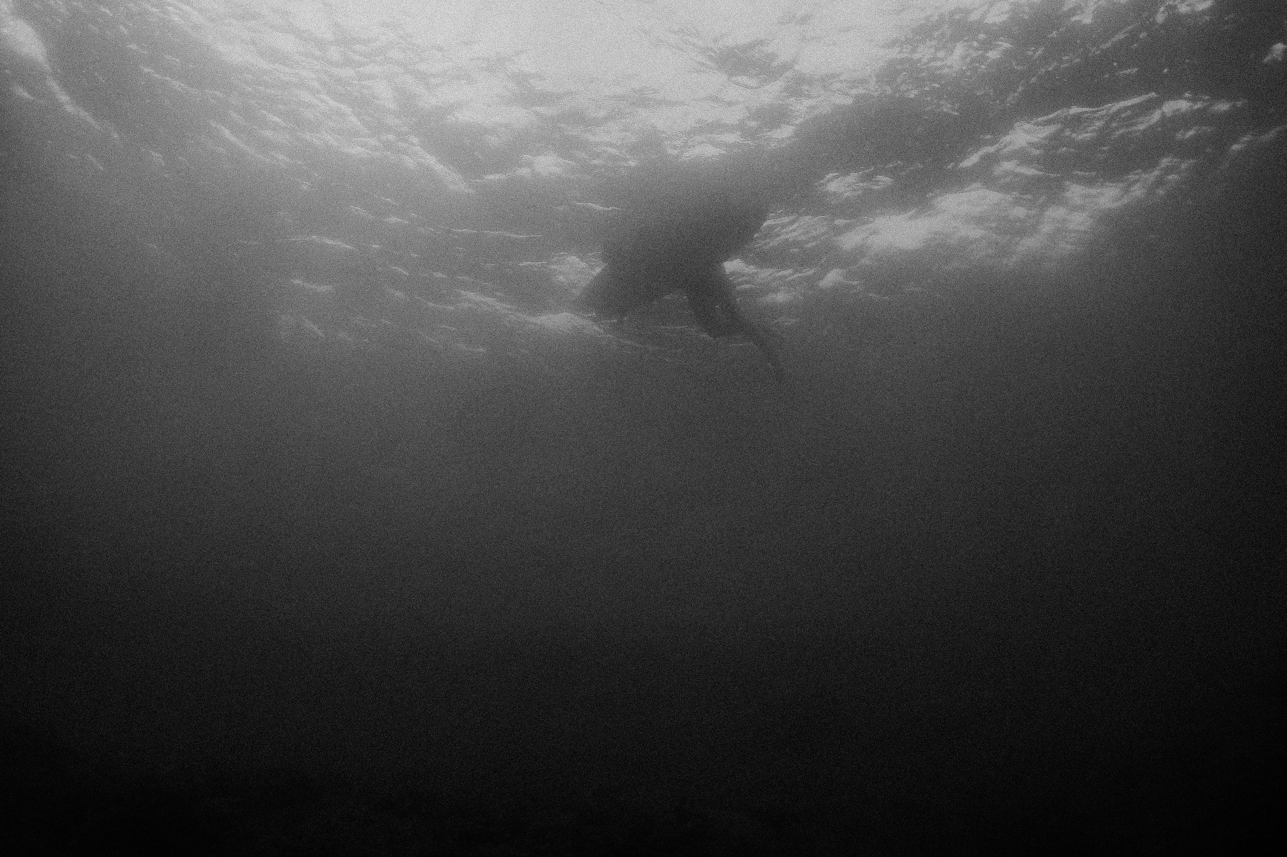 Паула. Свадебный фотограф Грузия Alex and Polly