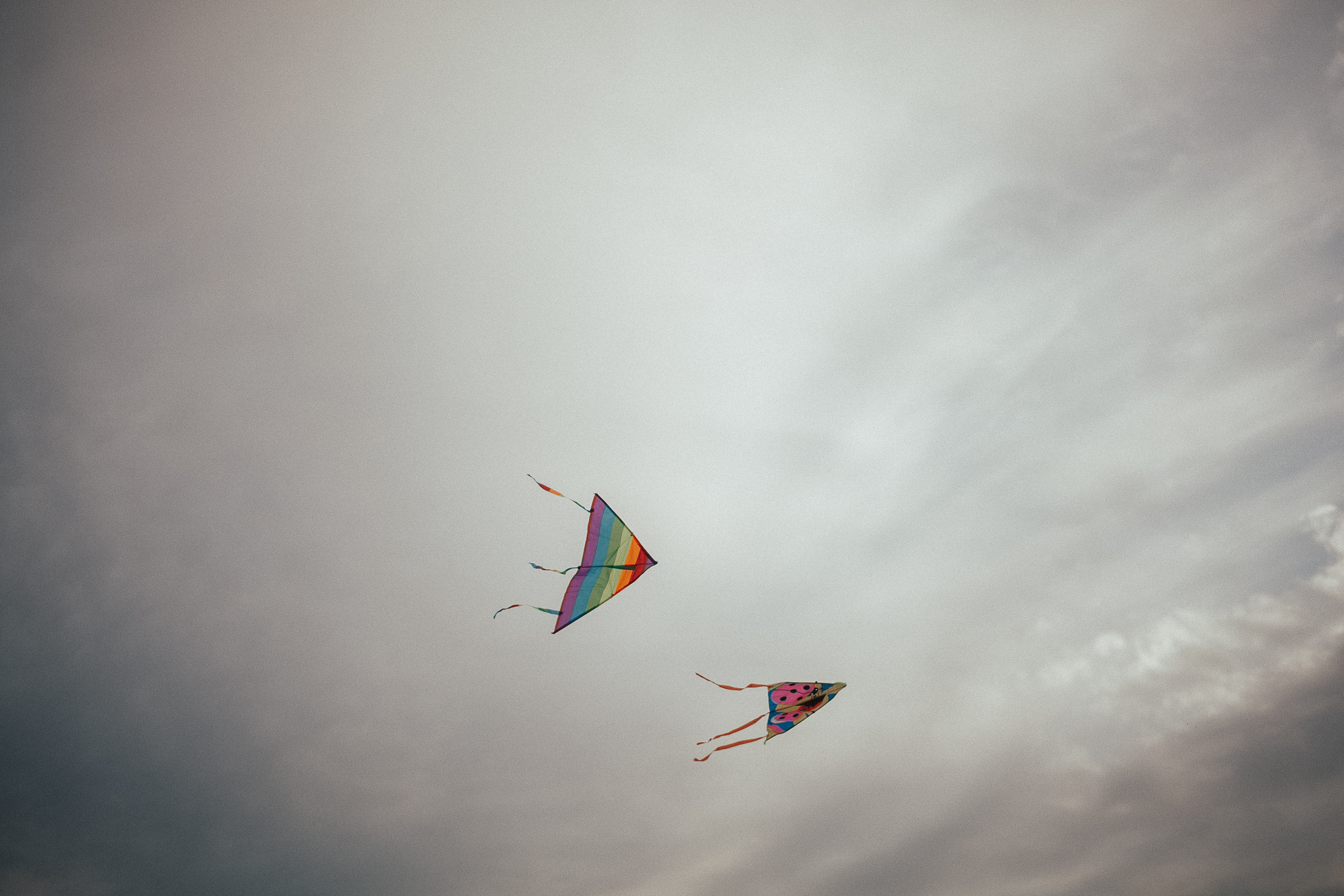 Настя, Илья, Поля и Лев. Wedding photographers Tbilisi Georgia Alex and Polly