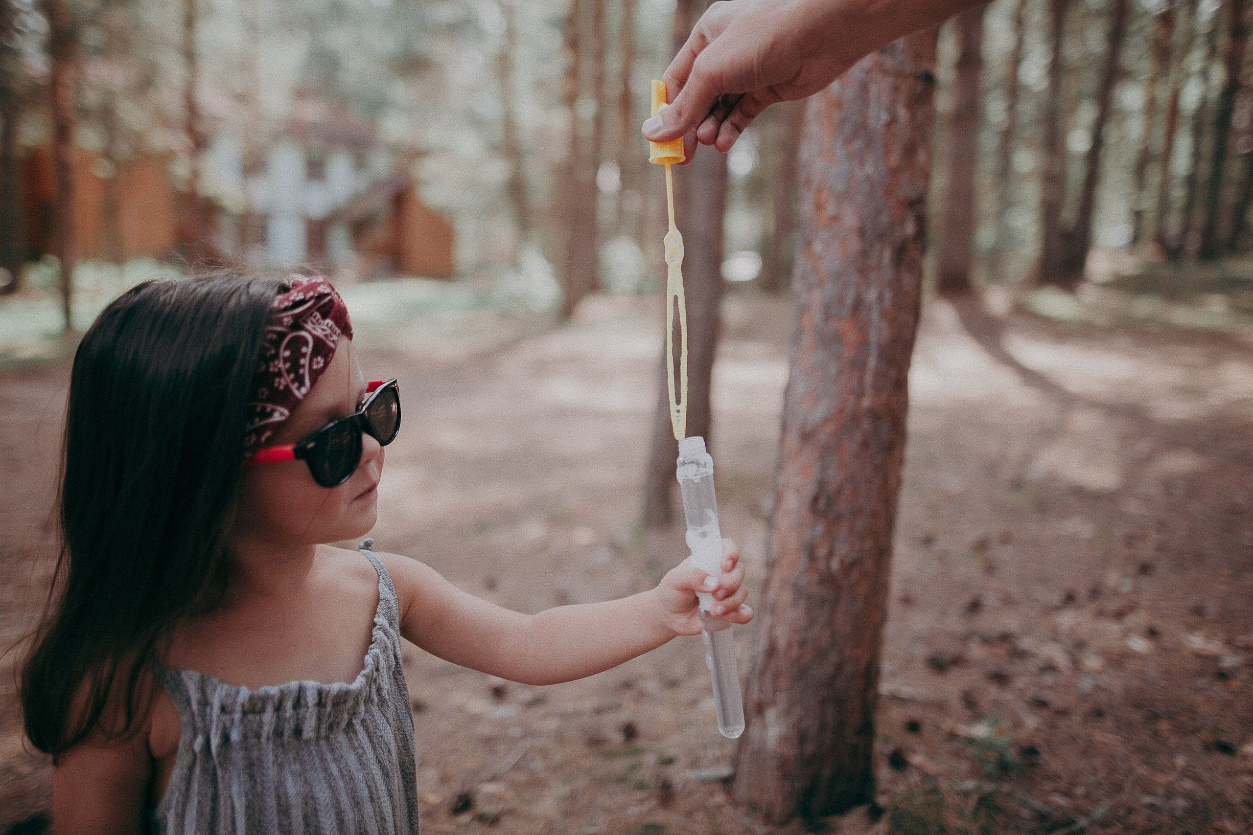 Племя Михайловых. Wedding photographers Tbilisi Georgia Alex and Polly