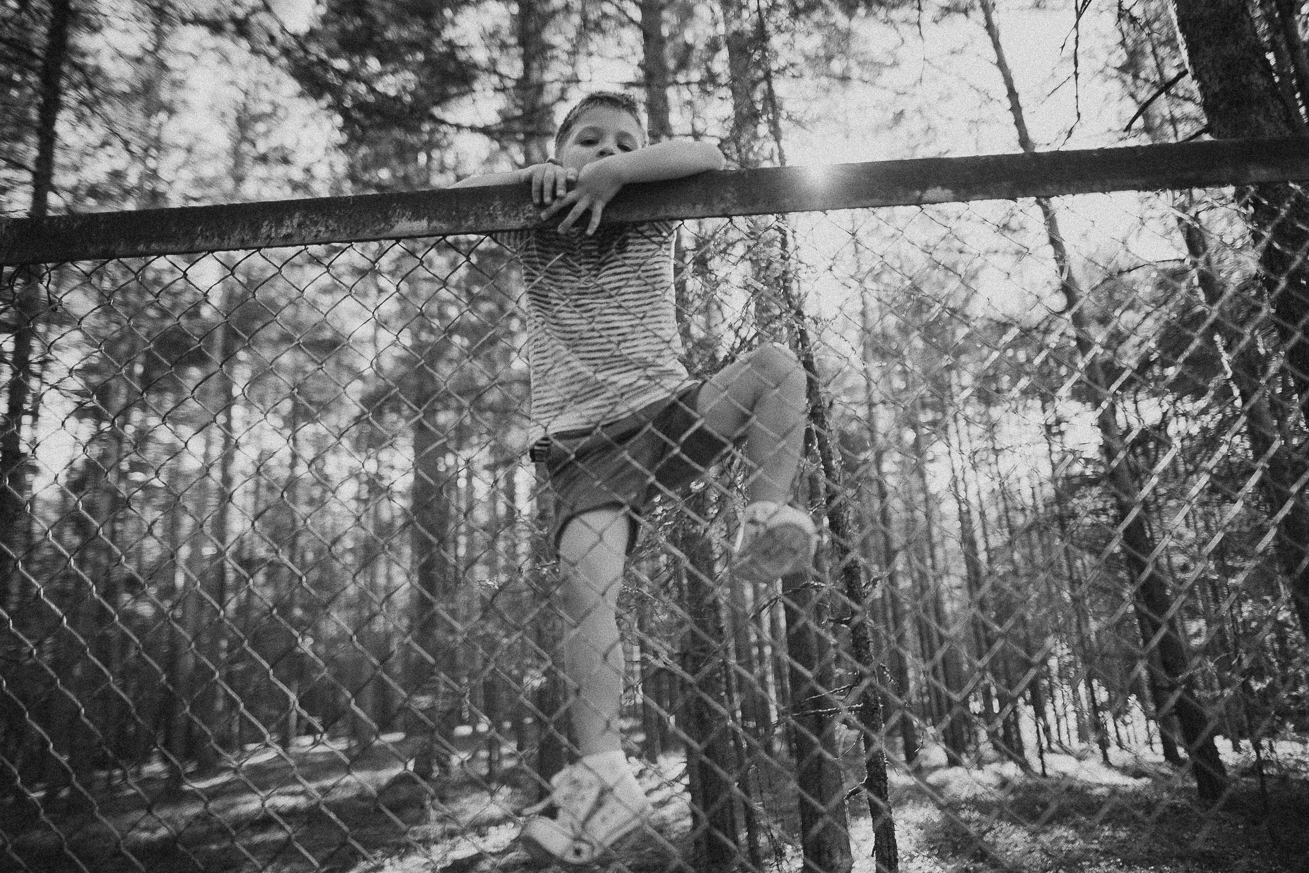 Племя Михайловых. Wedding photographers Tbilisi Georgia Alex and Polly