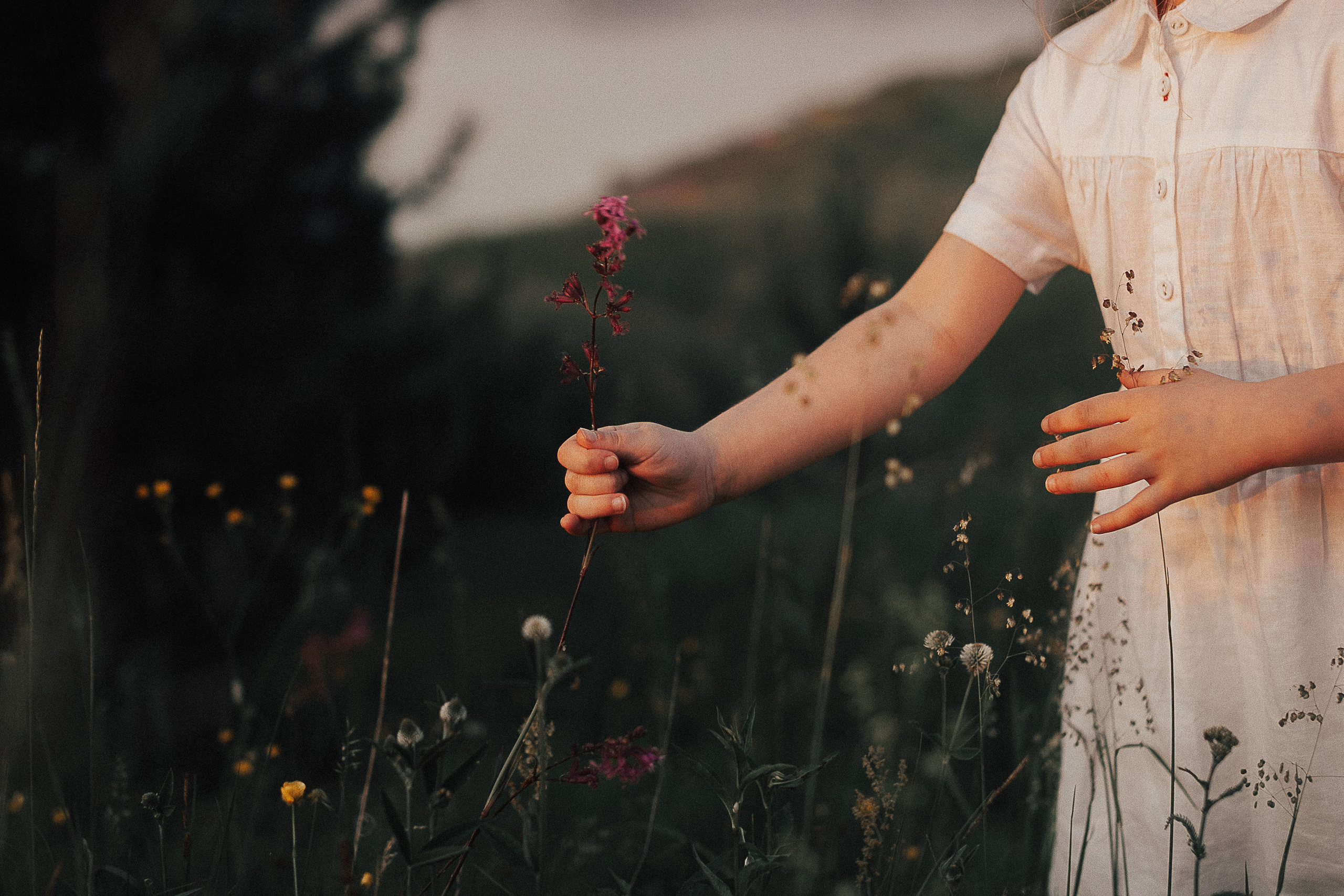 Виктория, Кирилл, Эмилия и Даниэль. Wedding photographers Tbilisi Georgia Alex and Polly