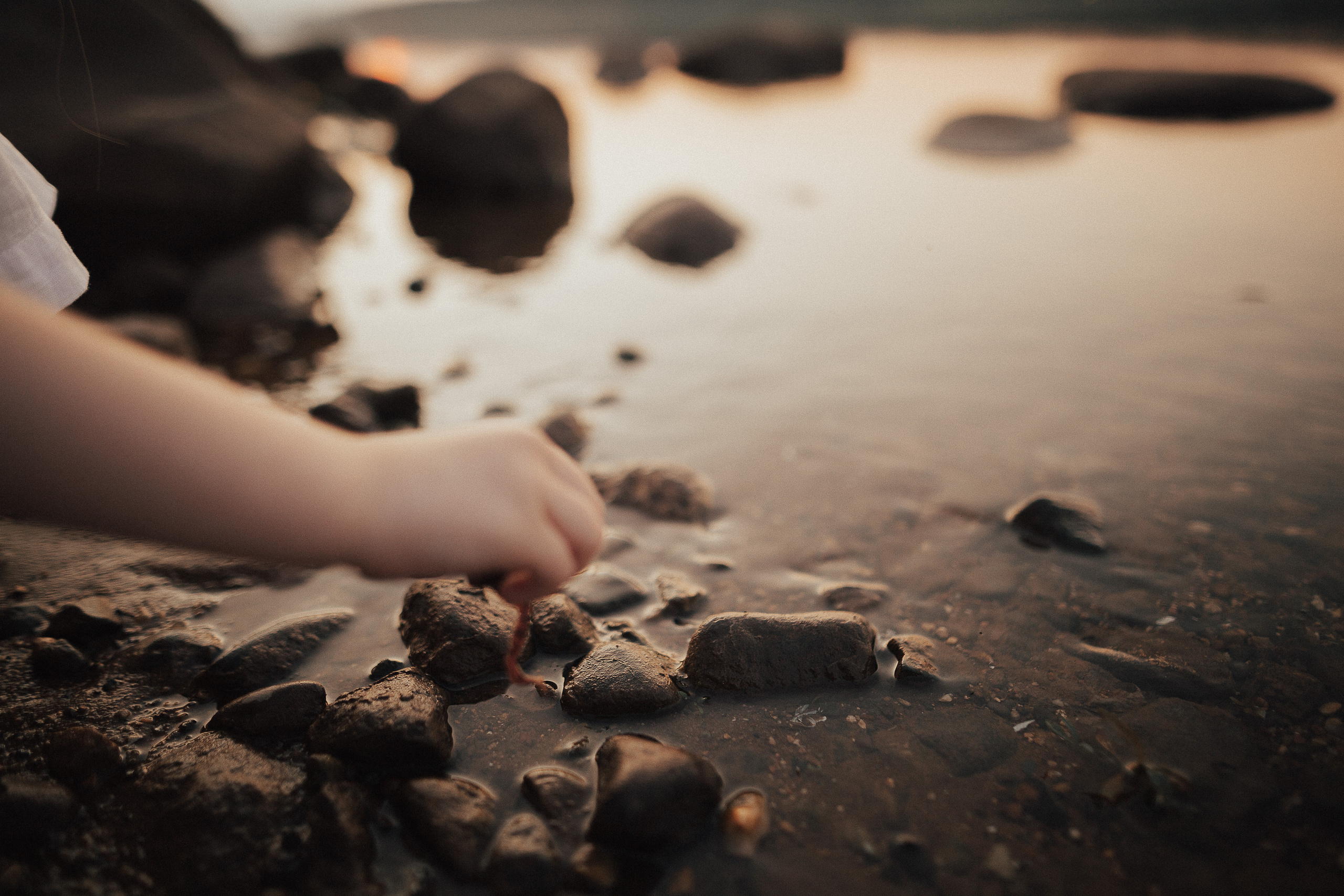 Виктория, Кирилл, Эмилия и Даниэль. Wedding photographers Tbilisi Georgia Alex and Polly