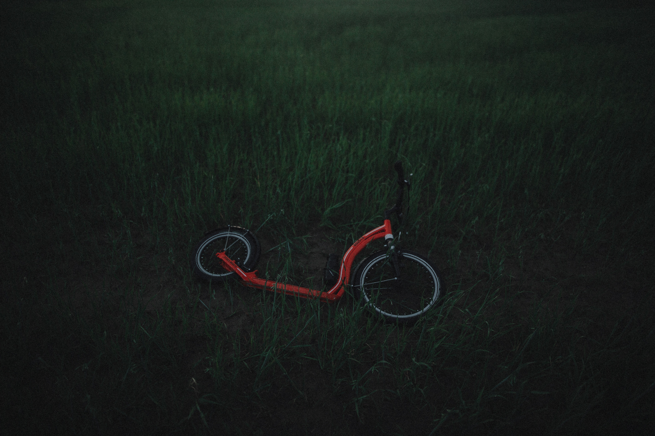 Настя. Свадебный фотограф Грузия Alex and Polly