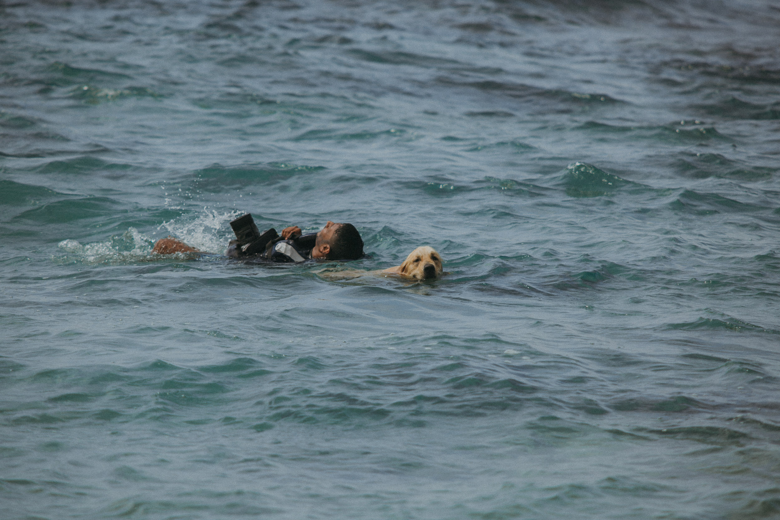 Red Bull Ride my wave. Wedding photographers Tbilisi Georgia Alex and Polly