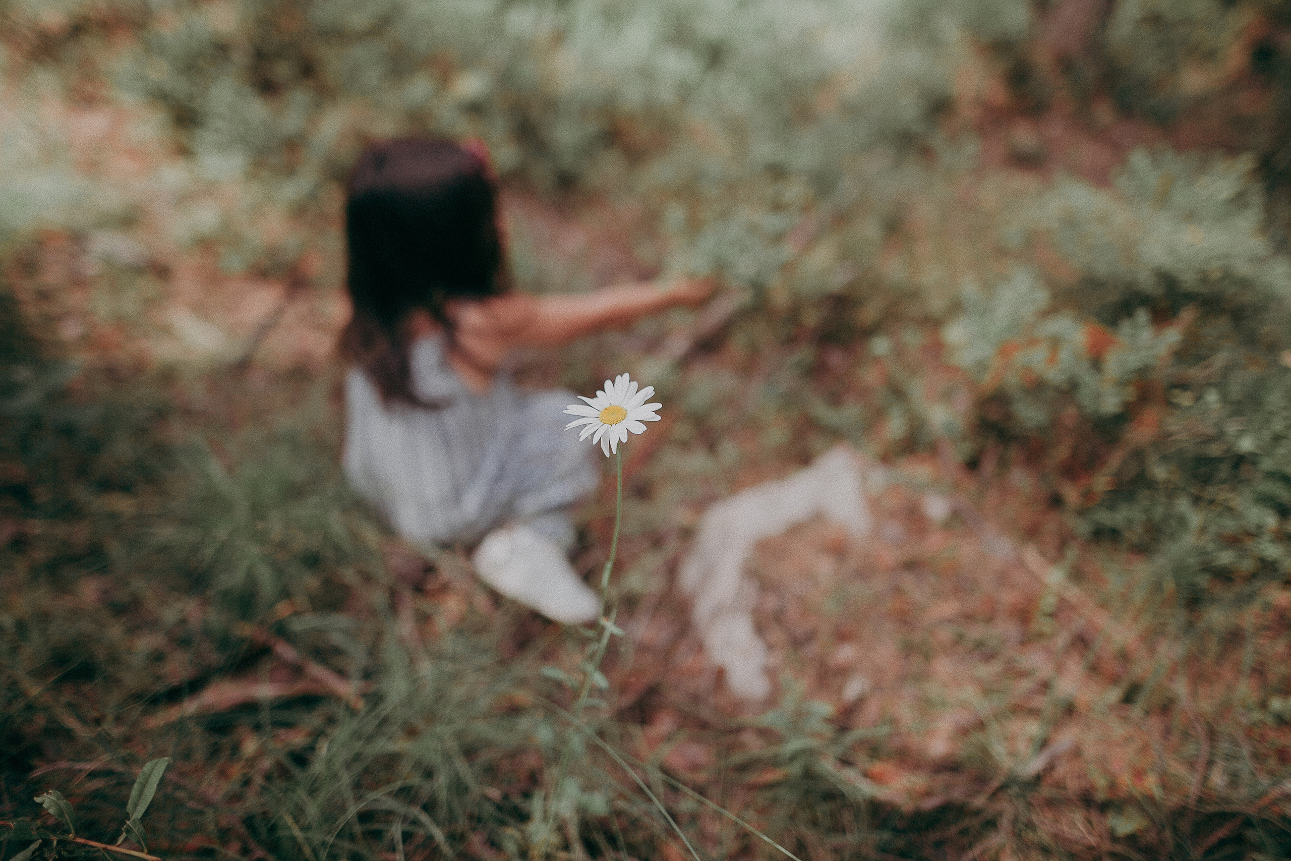 Племя Михайловых. Wedding photographers Tbilisi Georgia Alex and Polly