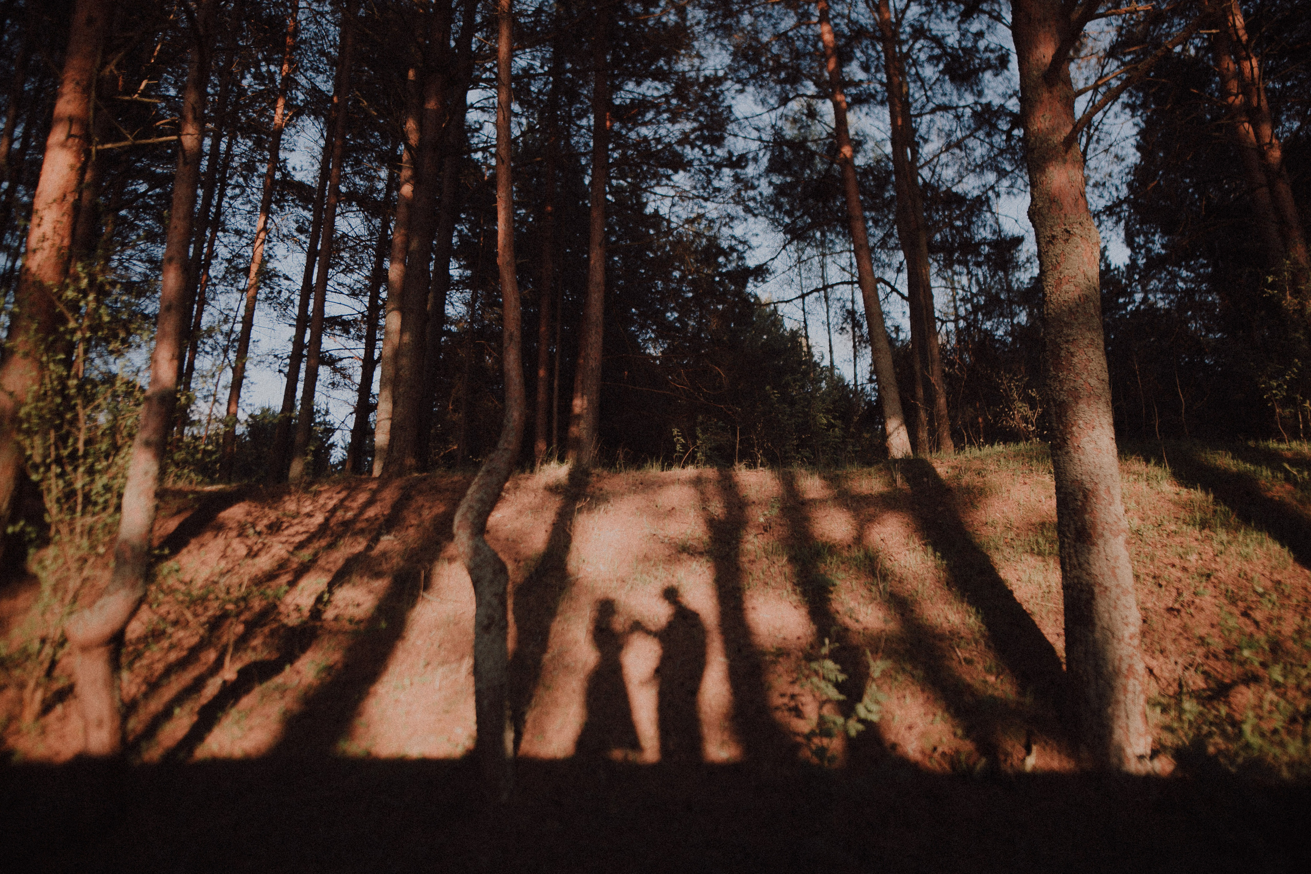 Тата и Денис. Свадебный фотограф Грузия Alex and Polly