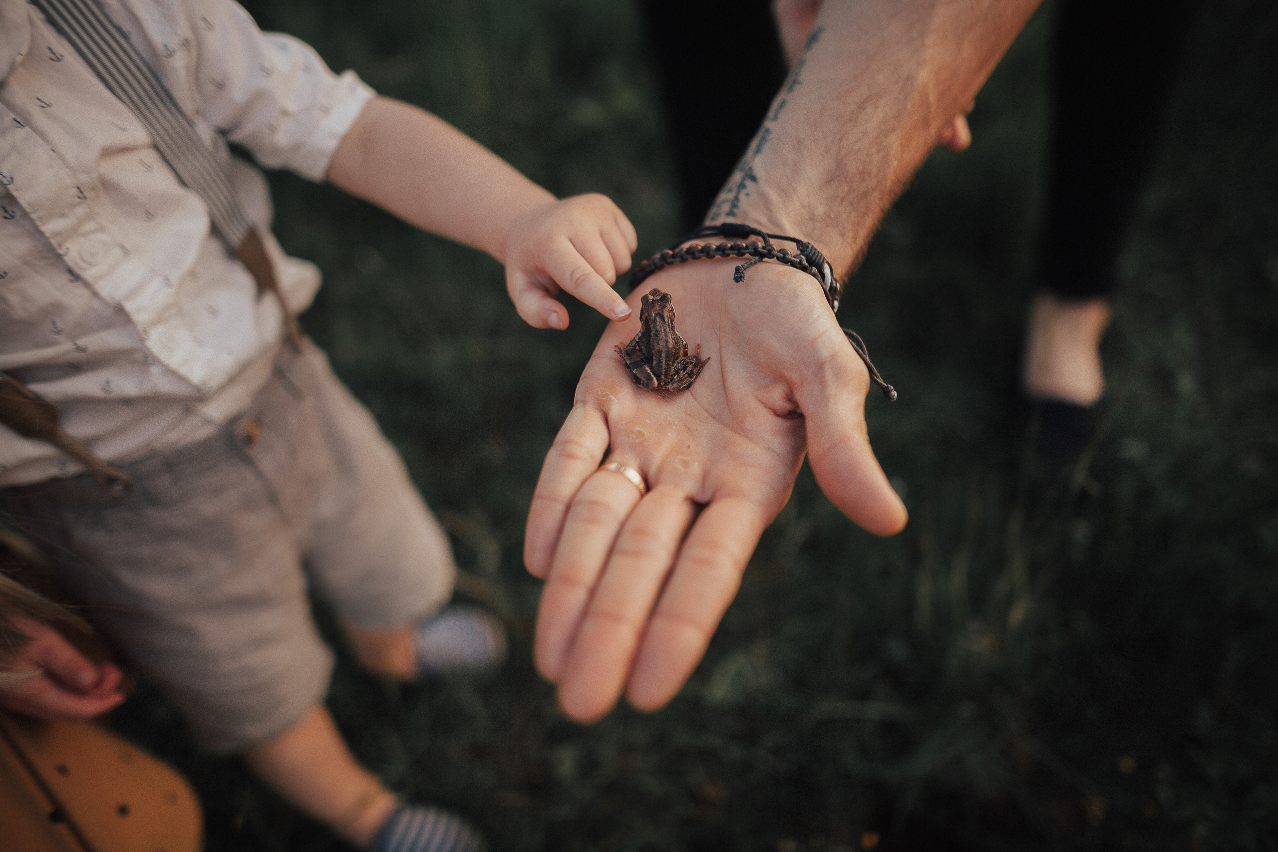 Виктория, Кирилл, Эмилия и Даниэль. Wedding photographers Tbilisi Georgia Alex and Polly