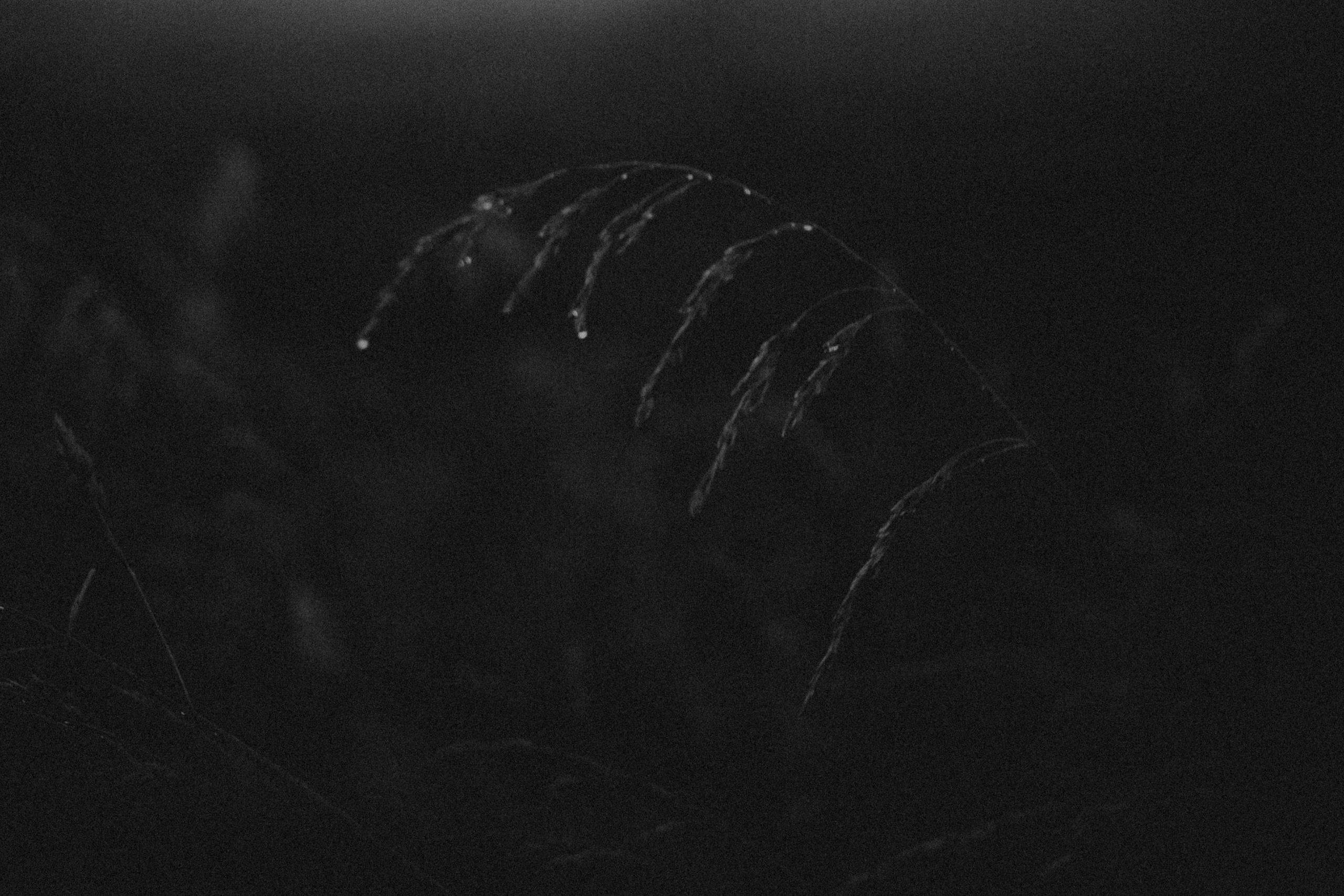 Настя. Свадебный фотограф Грузия Alex and Polly