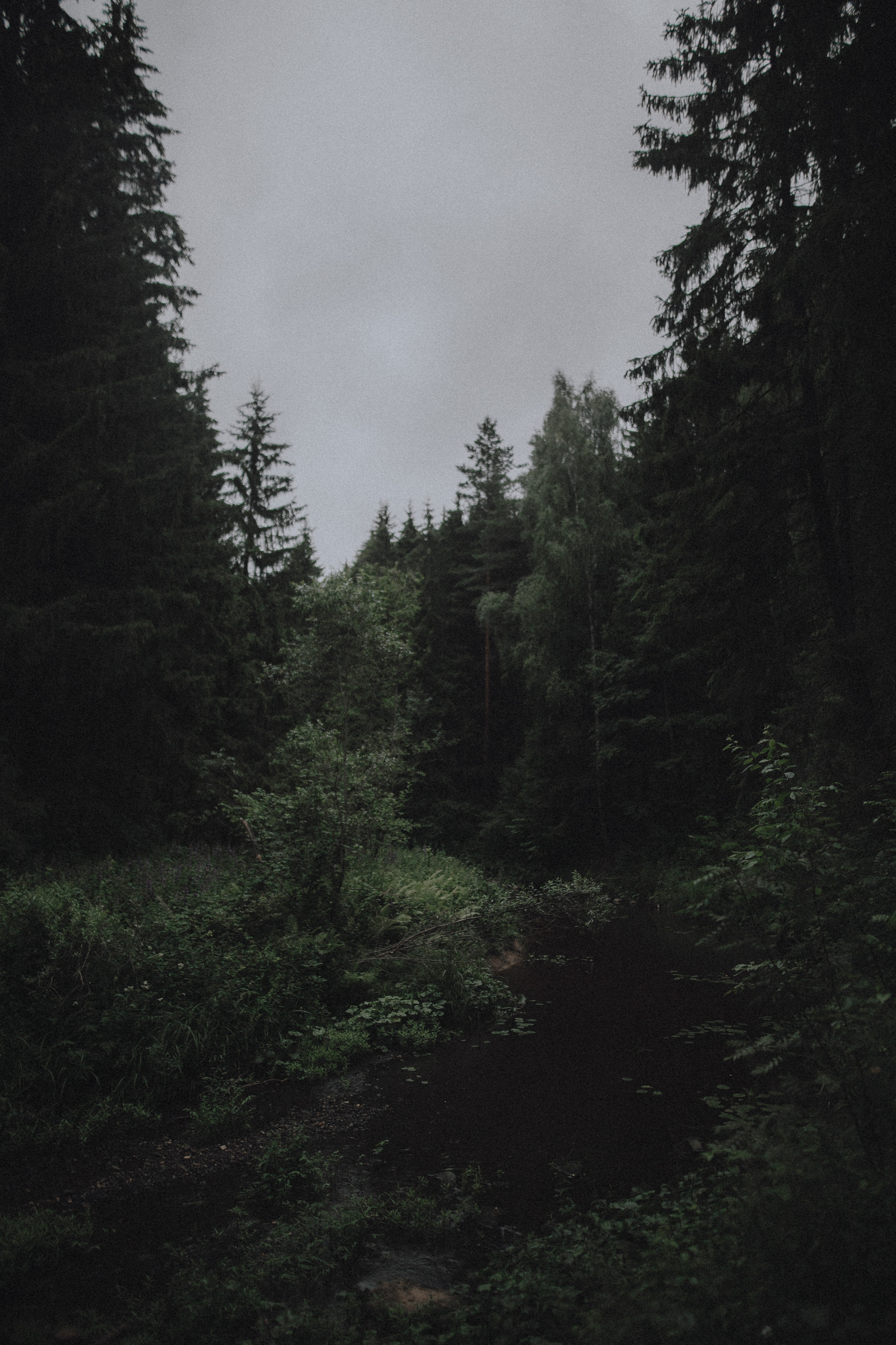 Настя. Свадебный фотограф Грузия Alex and Polly