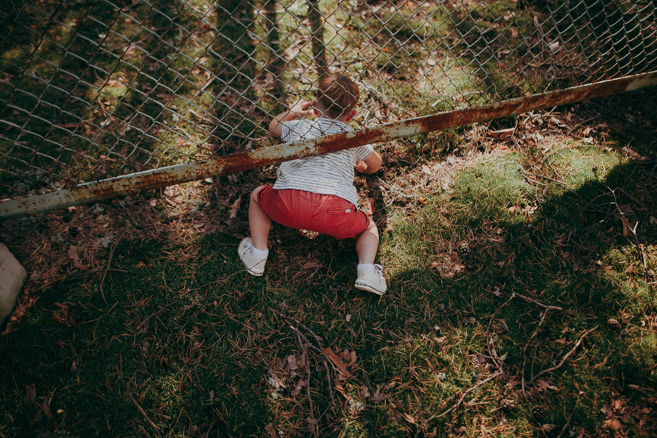 Племя Михайловых. Wedding photographers Tbilisi Georgia Alex and Polly