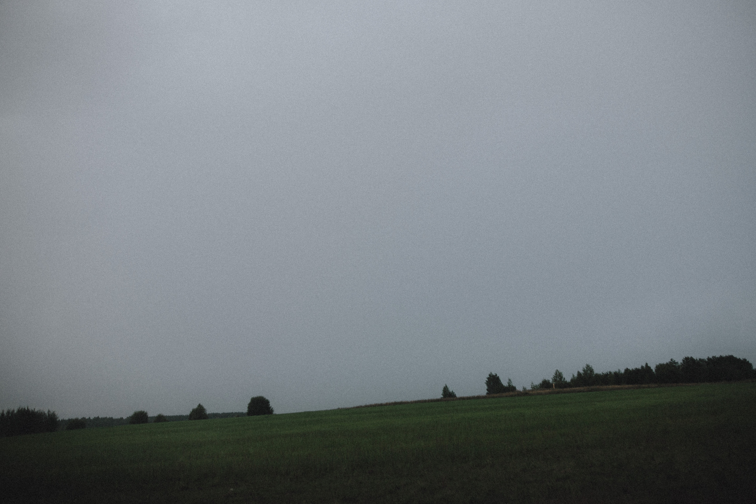 Настя. Свадебный фотограф Грузия Alex and Polly