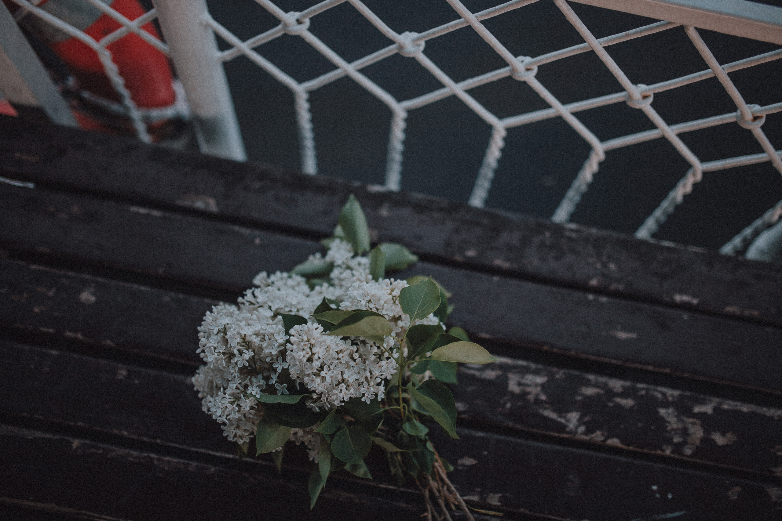 Надя и Леша. Wedding photographers Tbilisi Georgia Alex and Polly