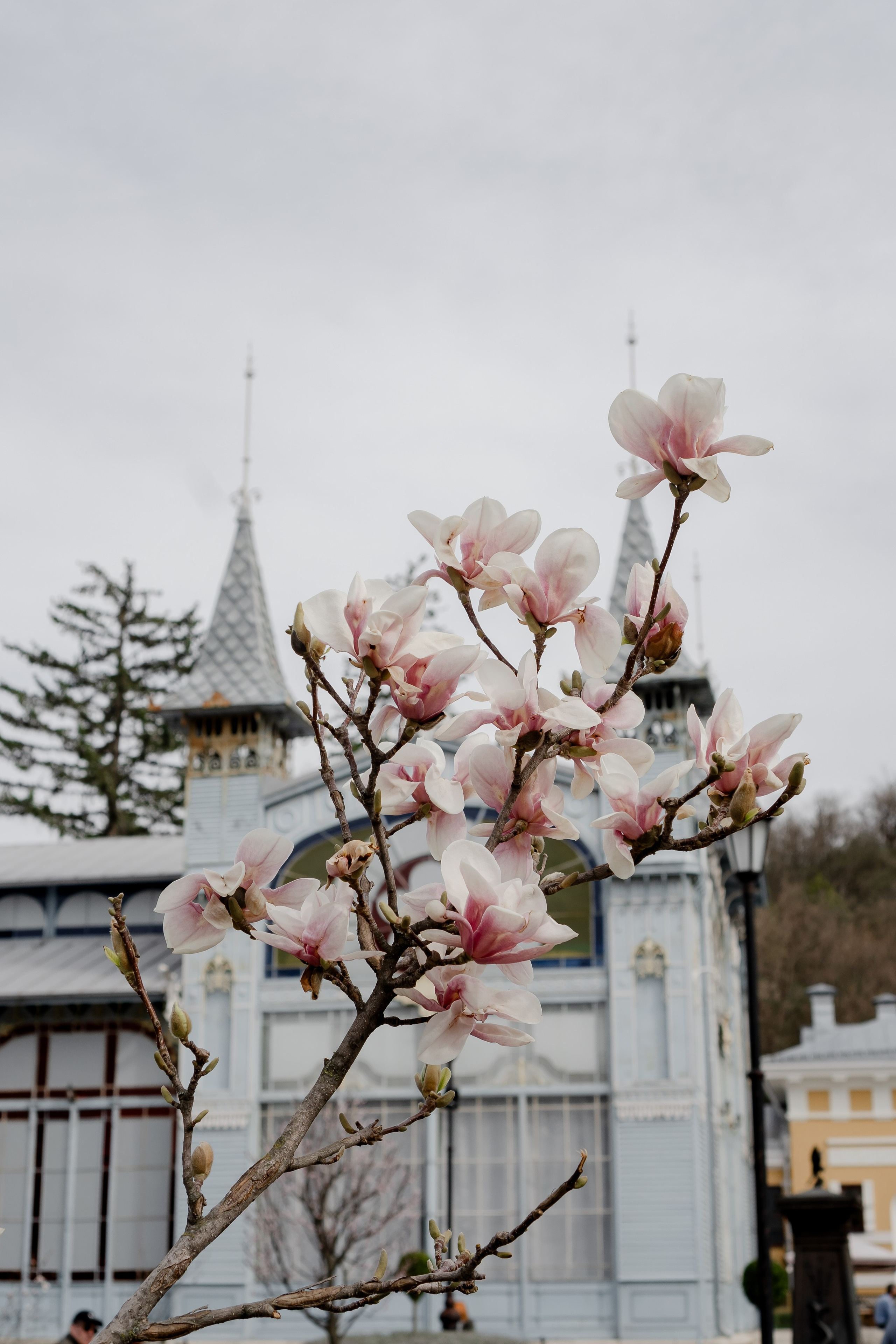 ПЯТИГОРСК. Профессиональный фотограф, Санкт-Петербург — Виктория Богомолова