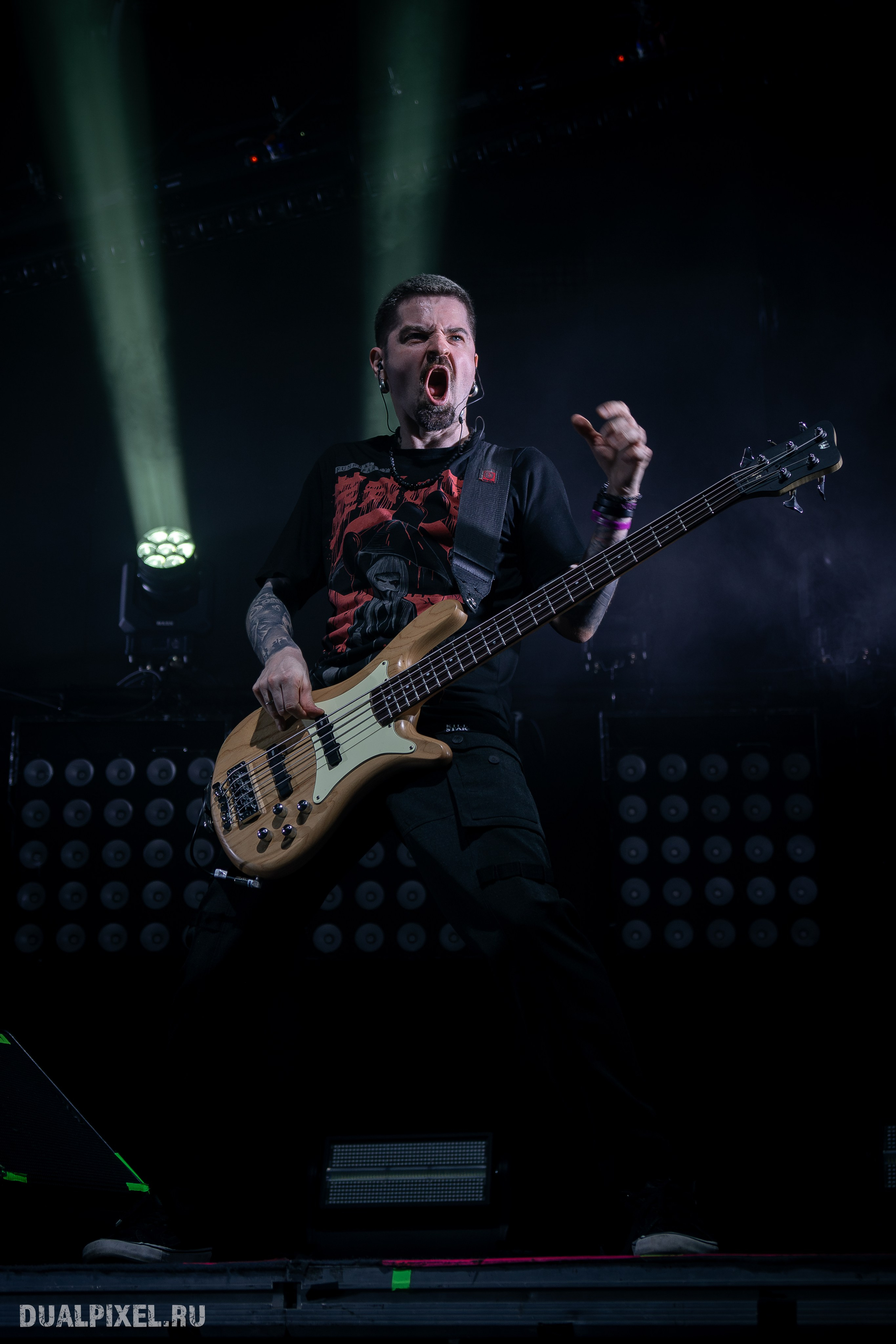 СЛОТ. Магия музыки в кадре: Концертная Фотография