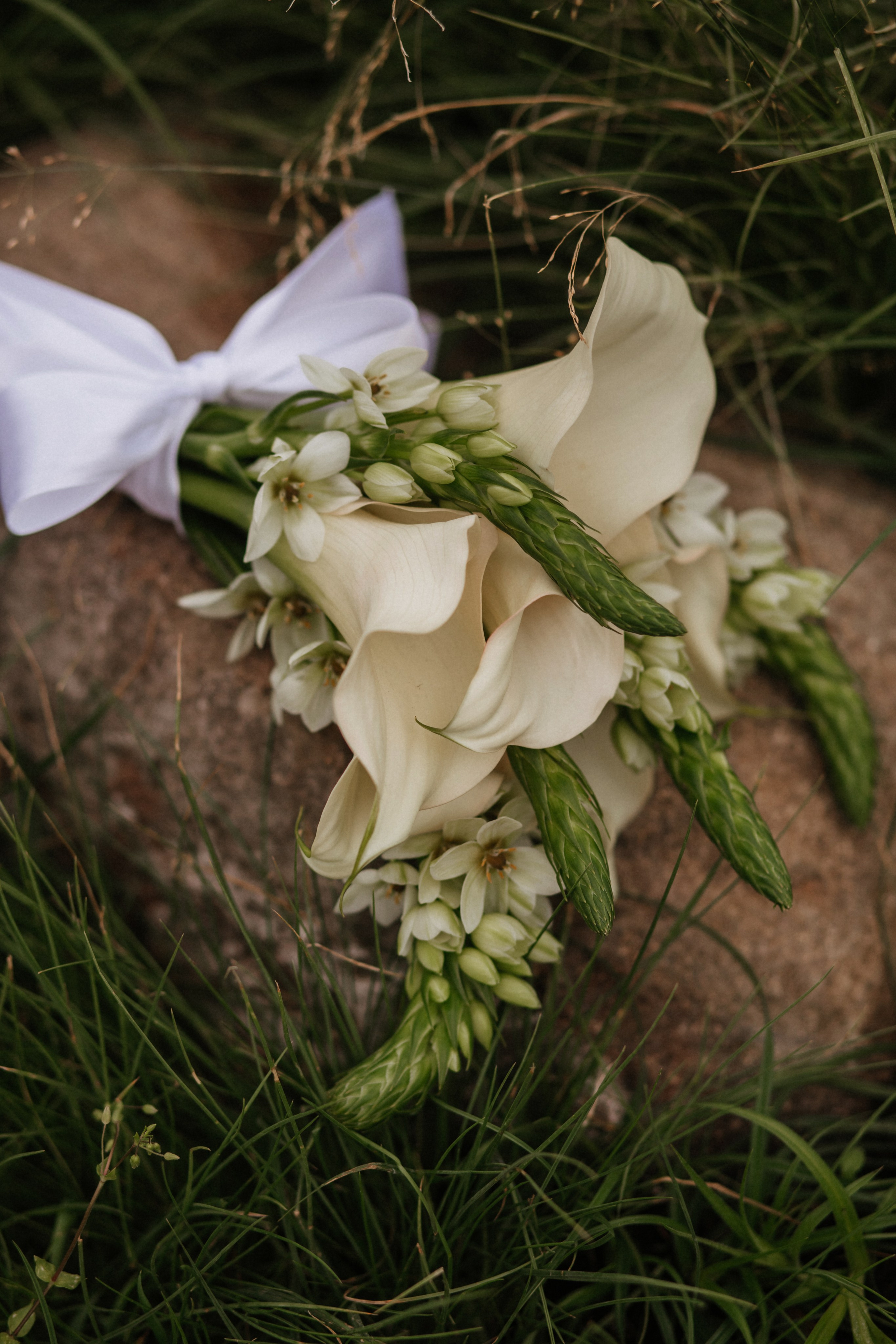 Артем и Карина. Фотограф в Волгограде и Москве | Анастасия Лаврова