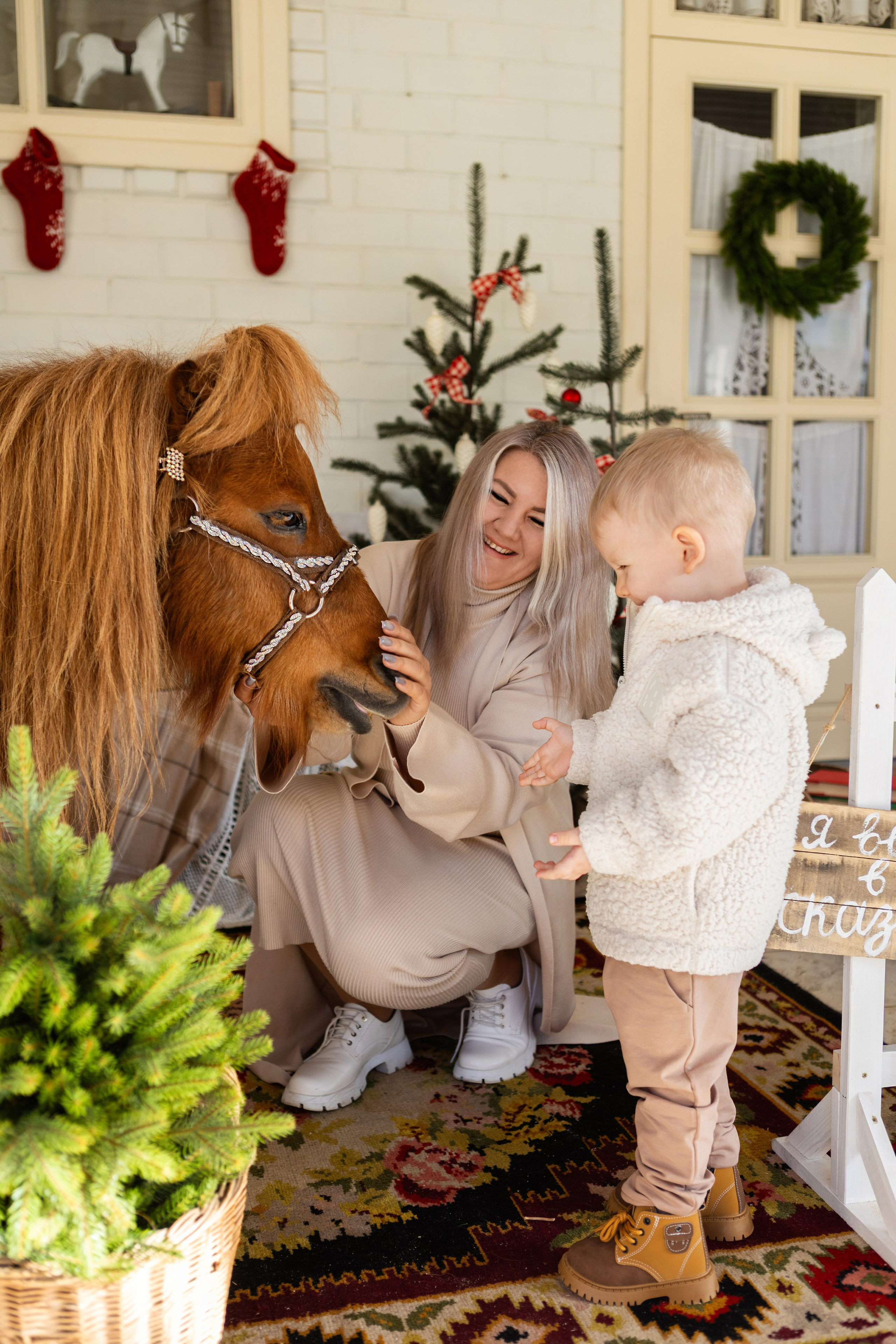 Символ 2026 года «Пони-Бонус». Фотостудия Ольги Сурухановой. Свадебный семейный и детский фотограф в Краснодаре Карина Федоровская