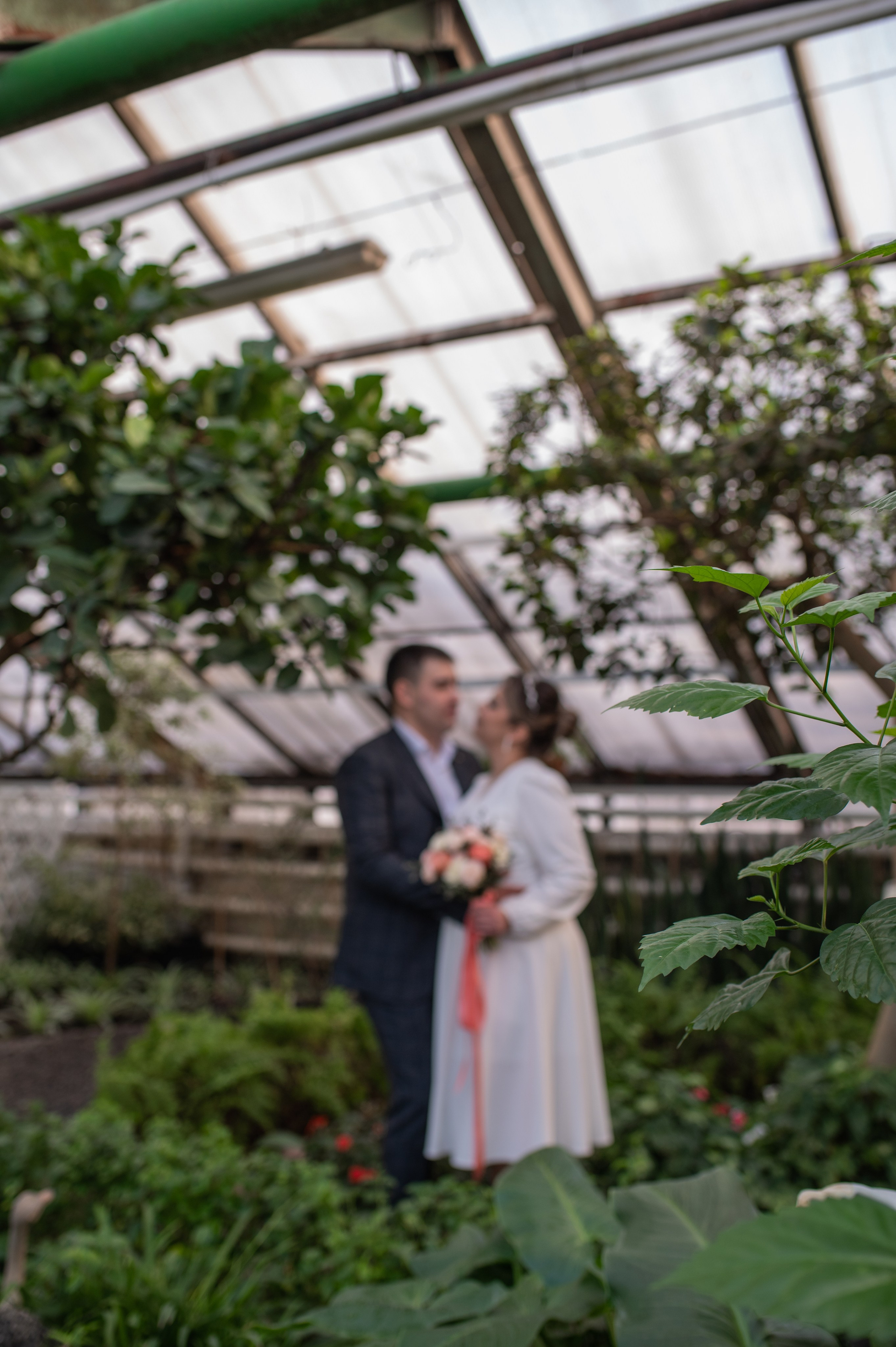 Антон и Наталья. Фотограф Виктория Воронина